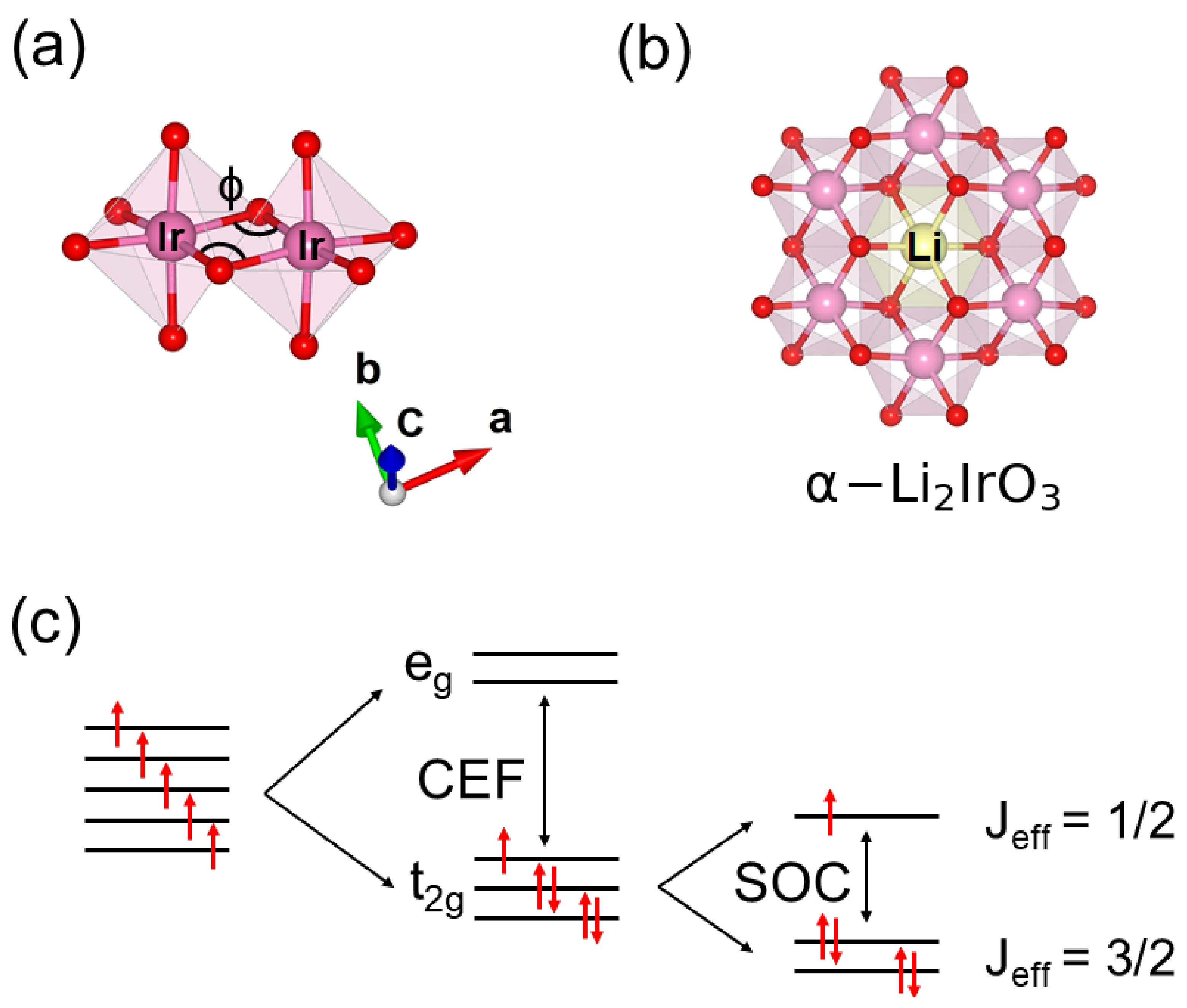Molecules 27 00871 g001 550