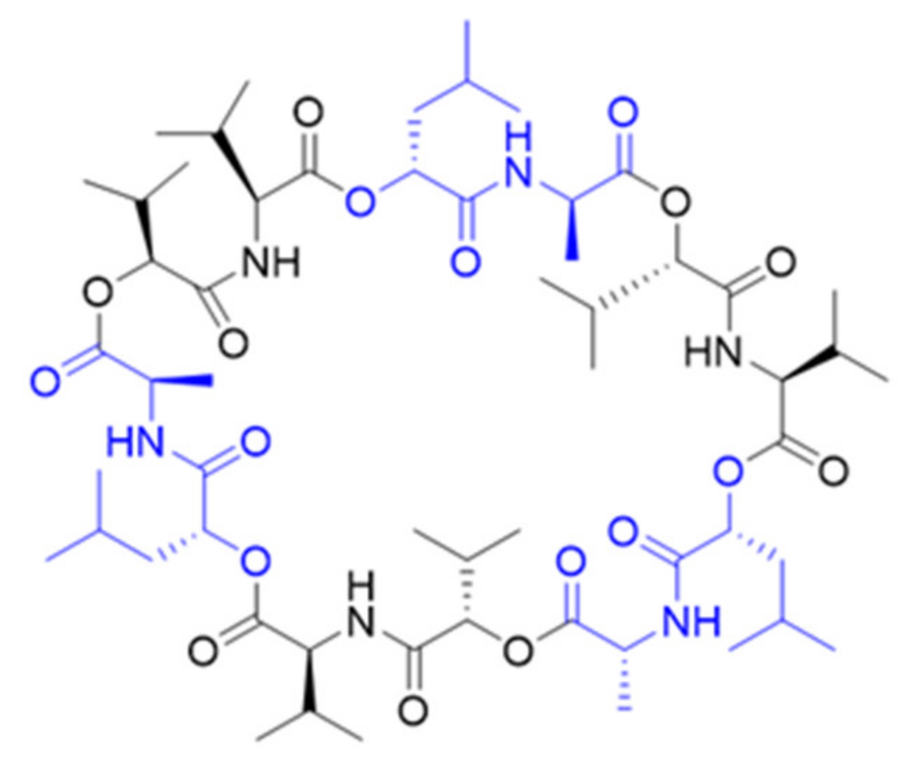 Molecules 27 00872 g001 550