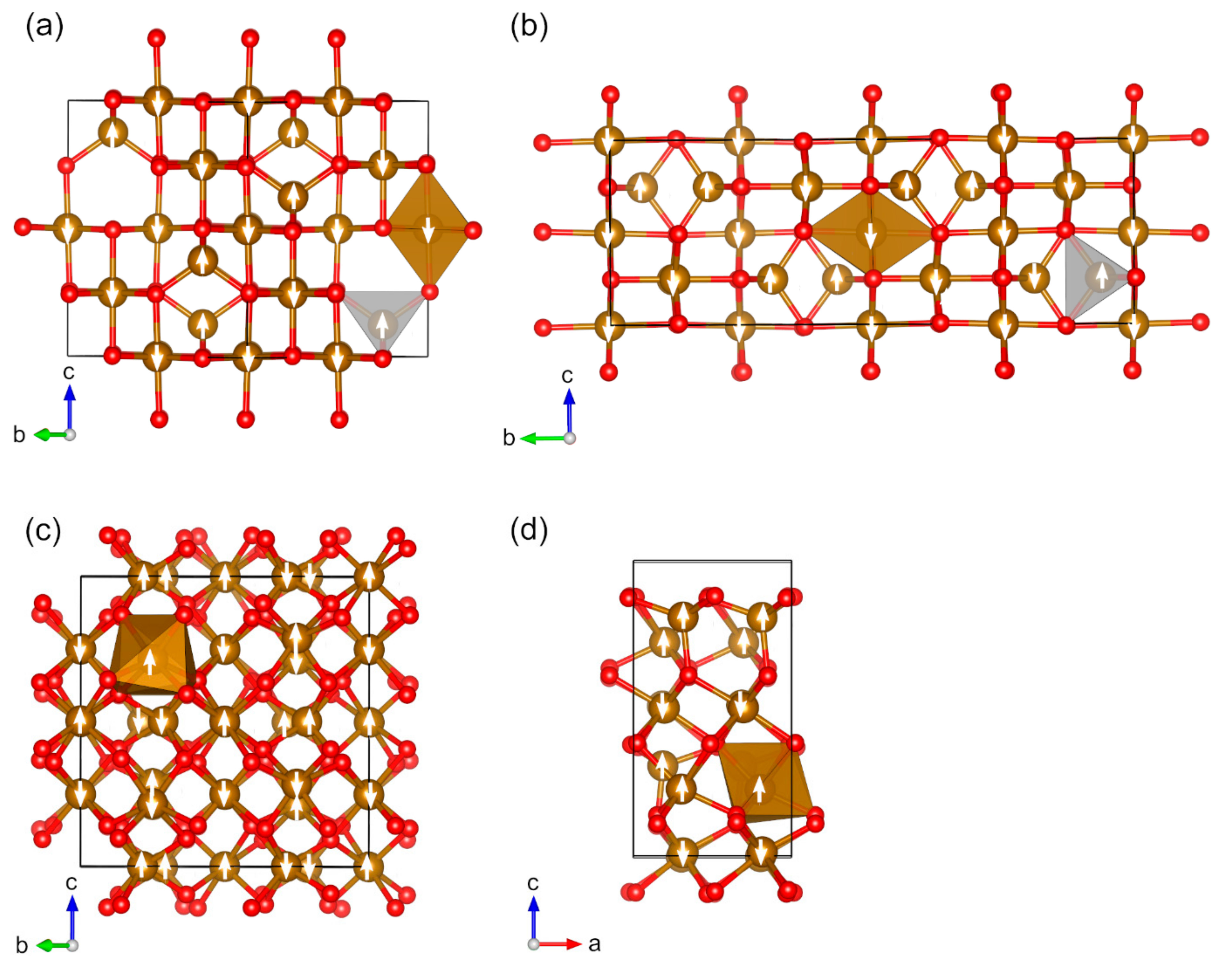 Molecules 27 00874 g006