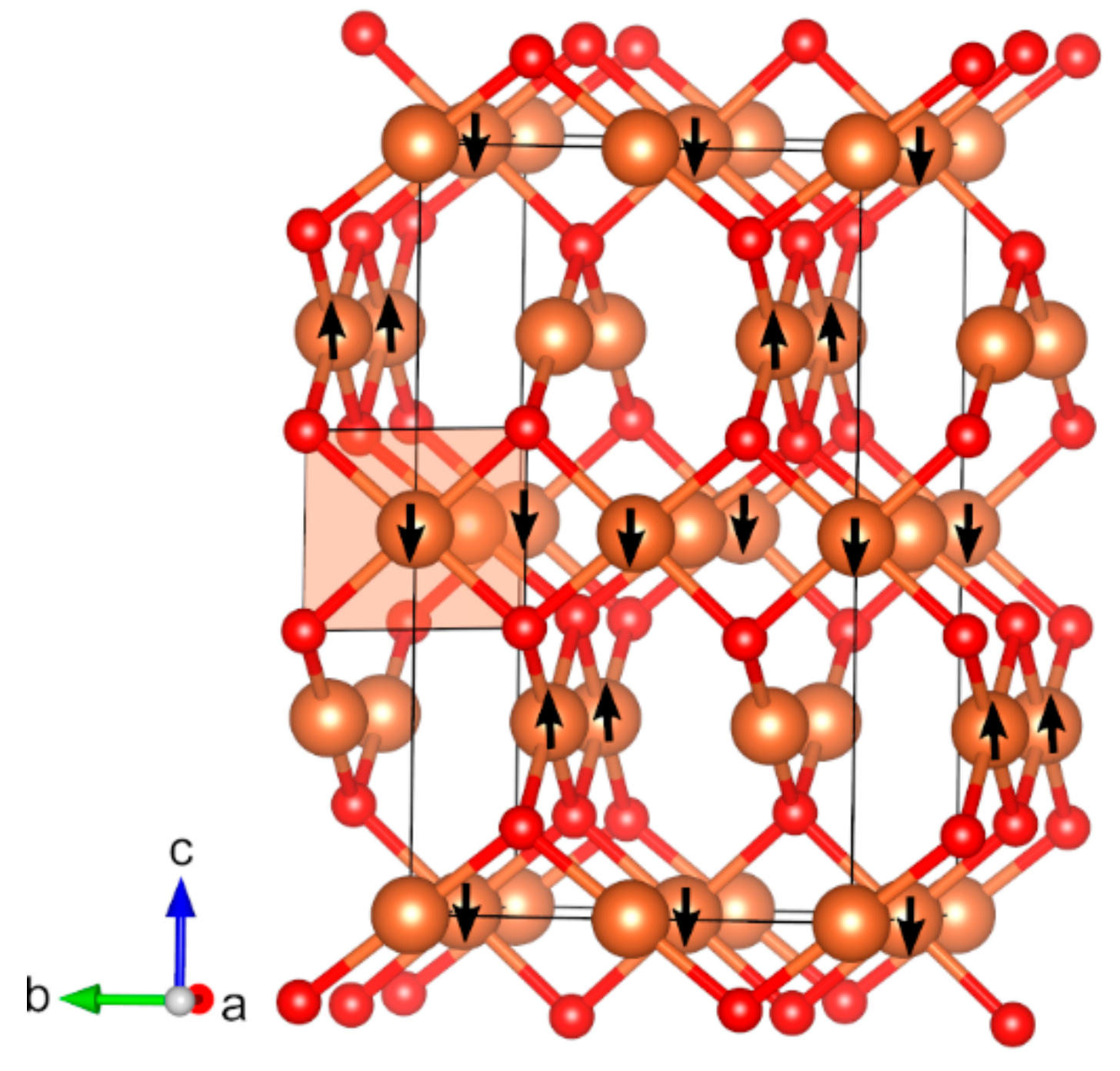 Molecules 27 00874 g008