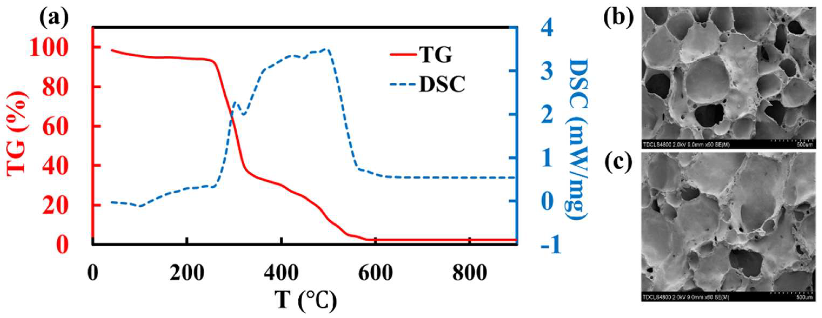 Molecules 27 00876 g001 550