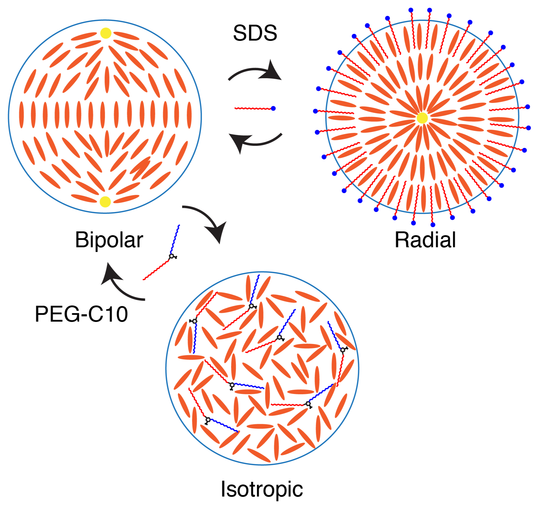 Molecules 27 00878 g008 550