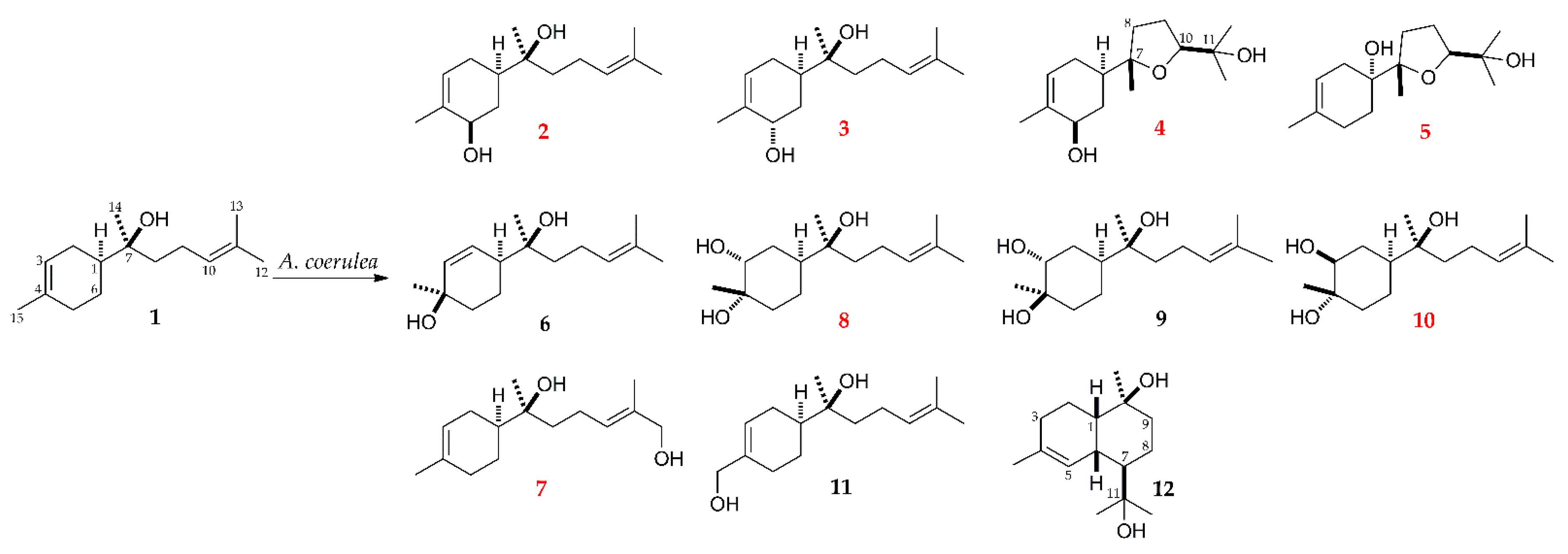 Molecules 27 00881 g002