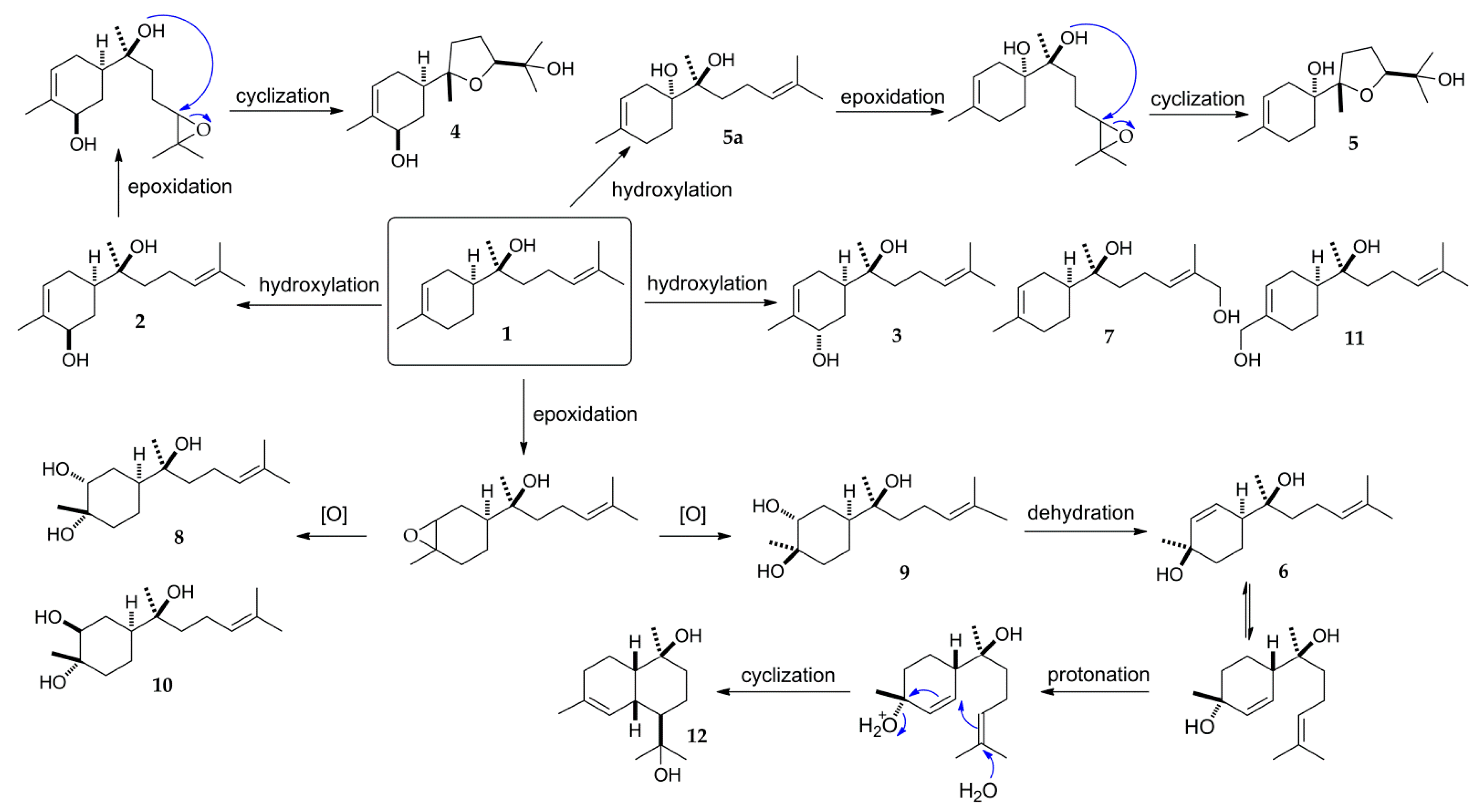 Molecules 27 00881 g006