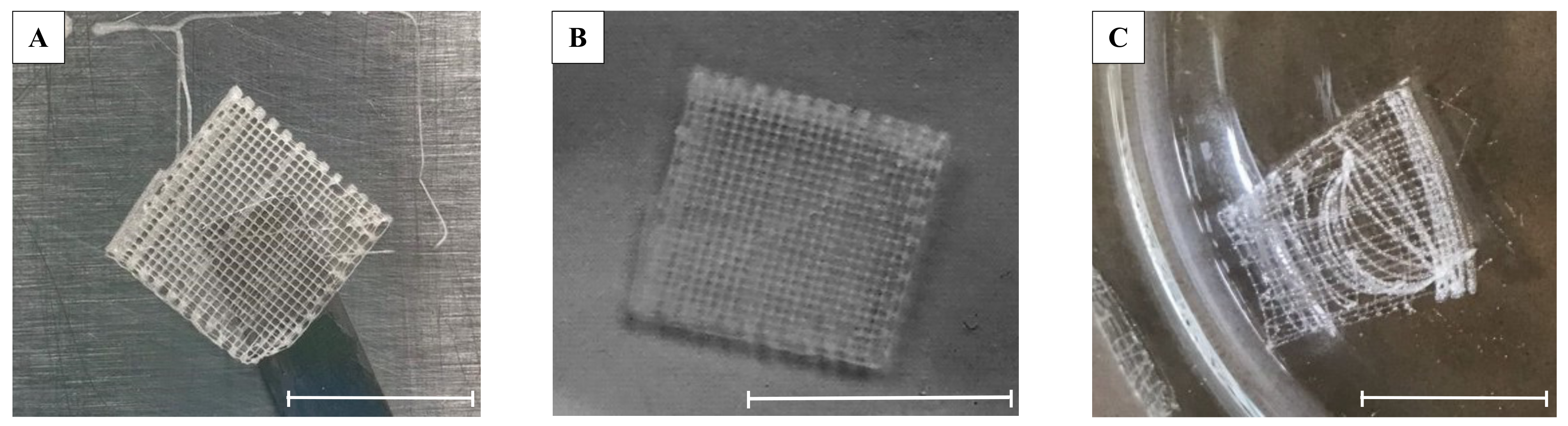 Molecules 27 00882 g001