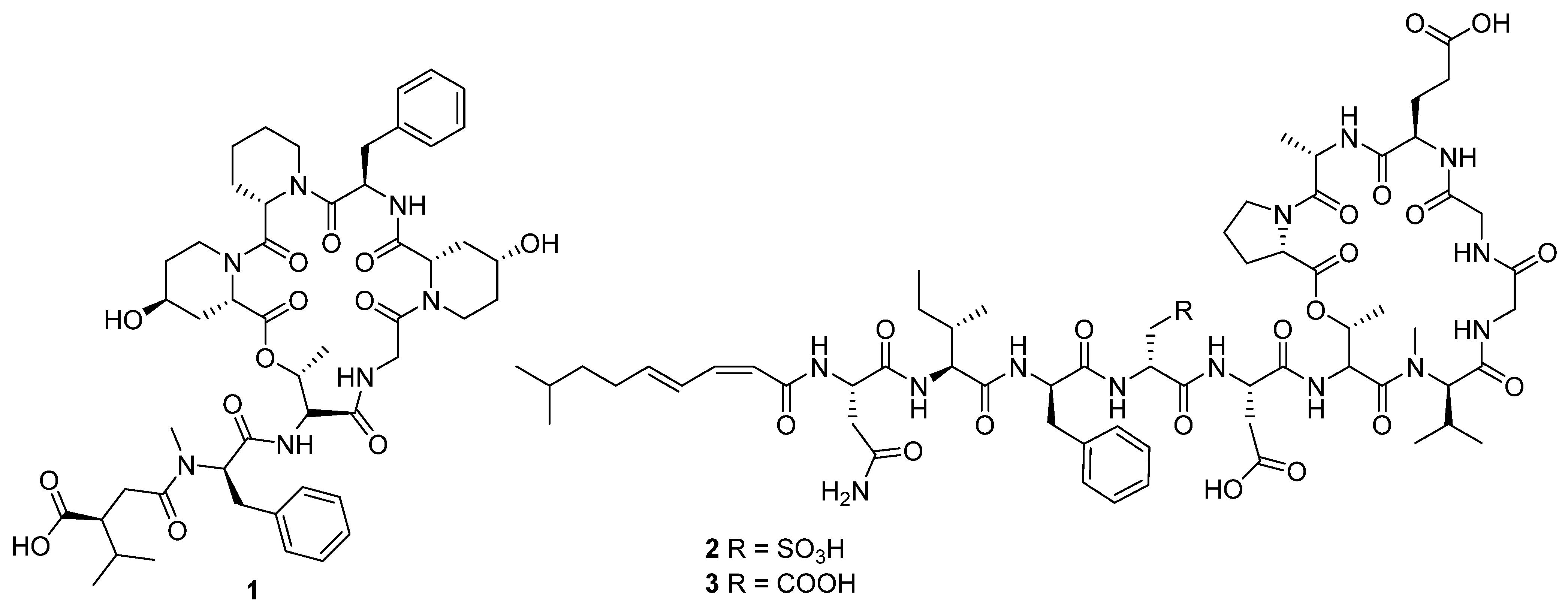 Molecules 27 00887 g004 550