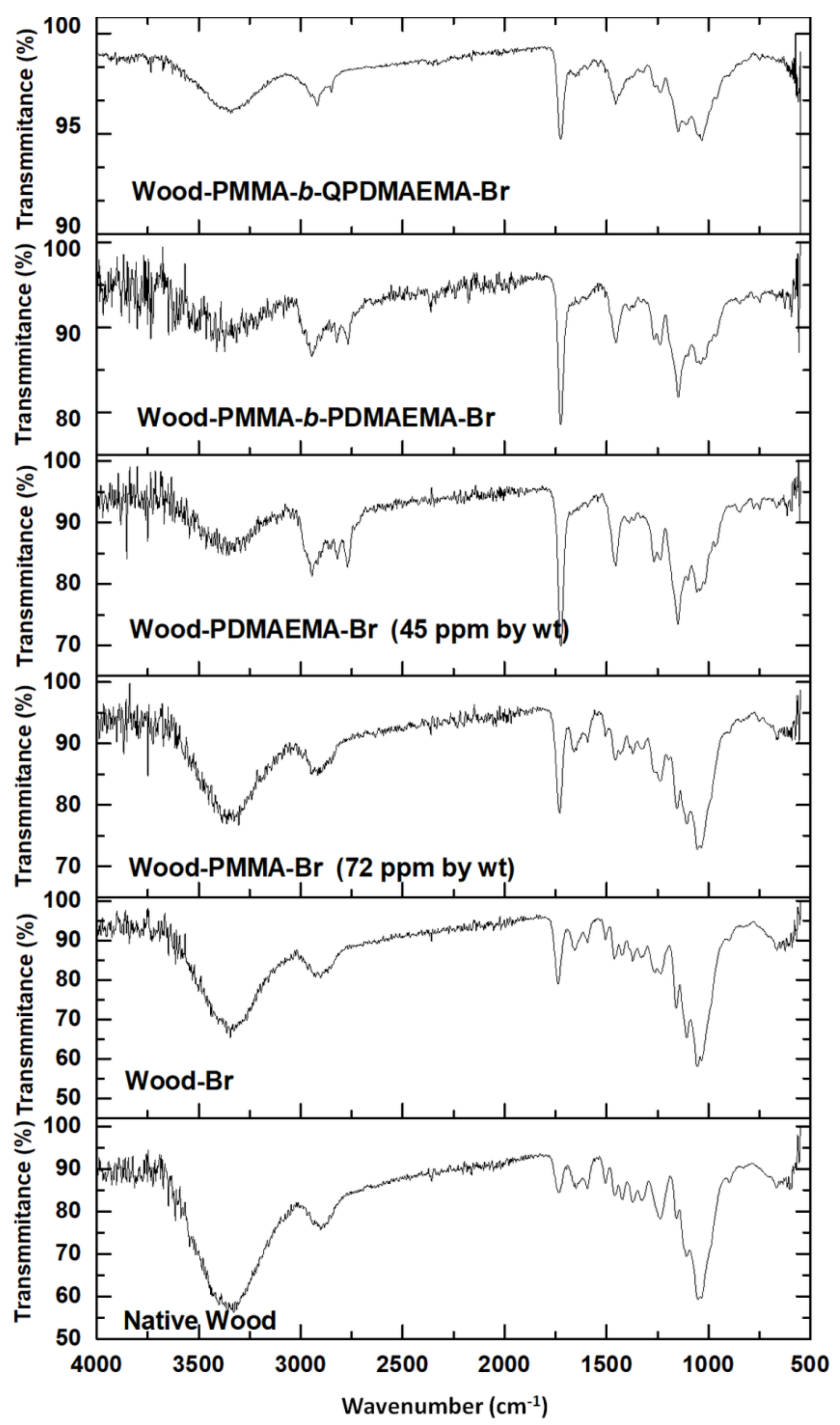 Molecules 27 00890 g005
