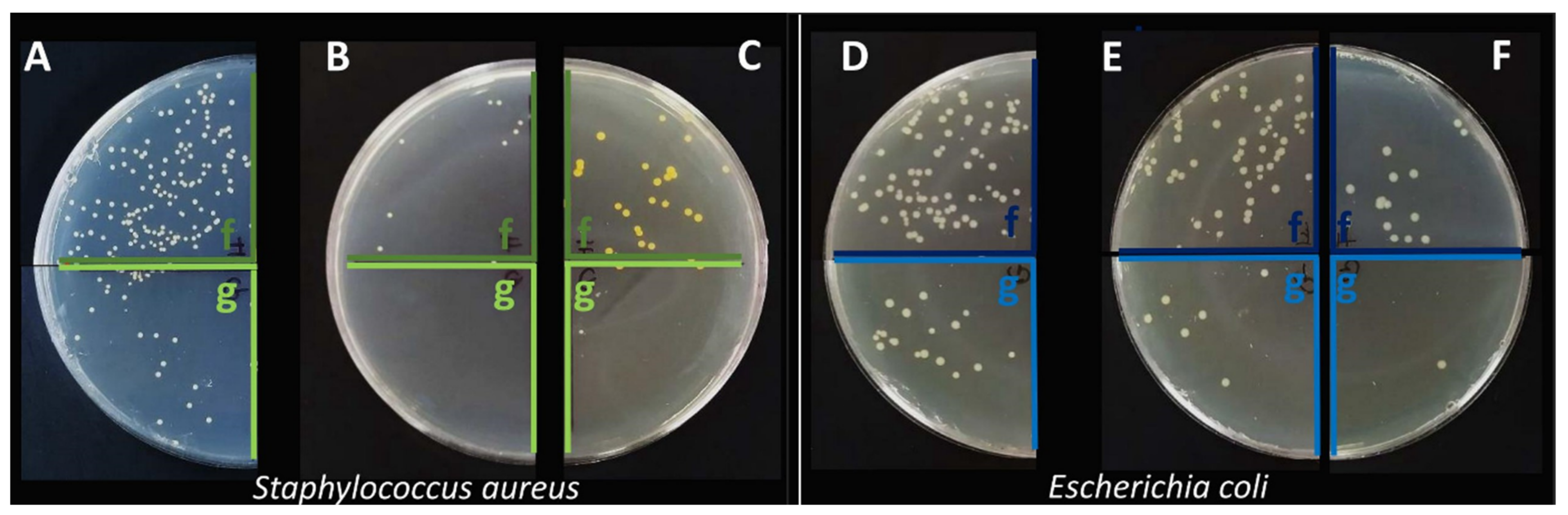 Molecules 27 00890 g010