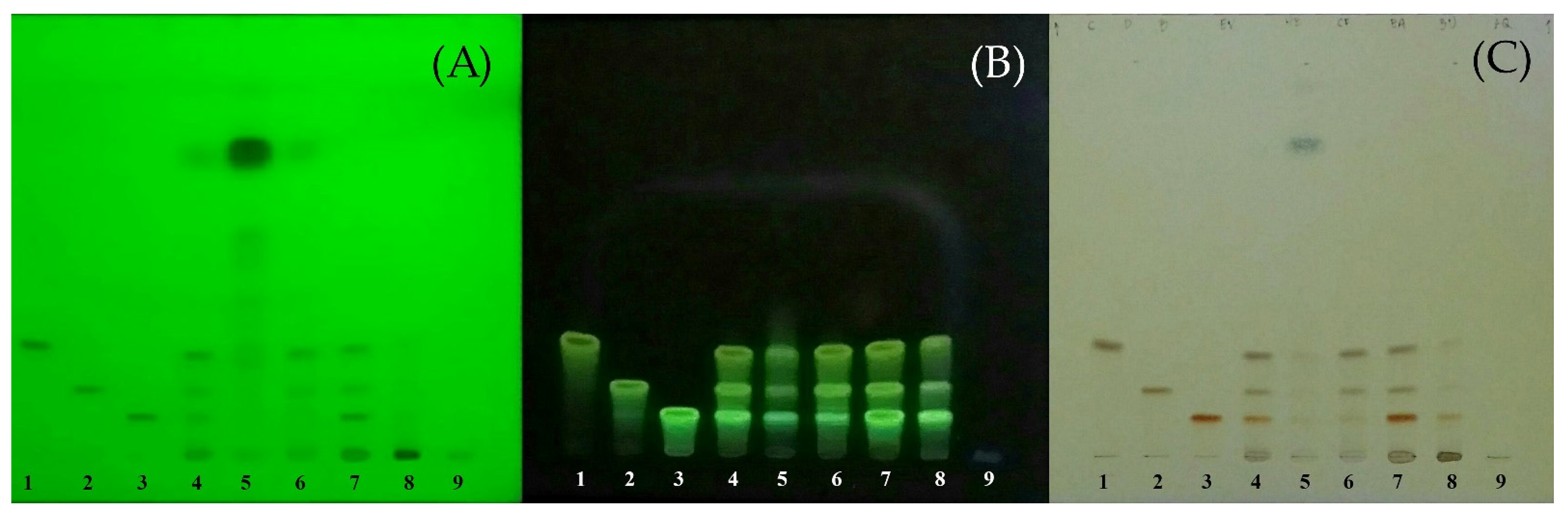 Molecules 27 00896 g001