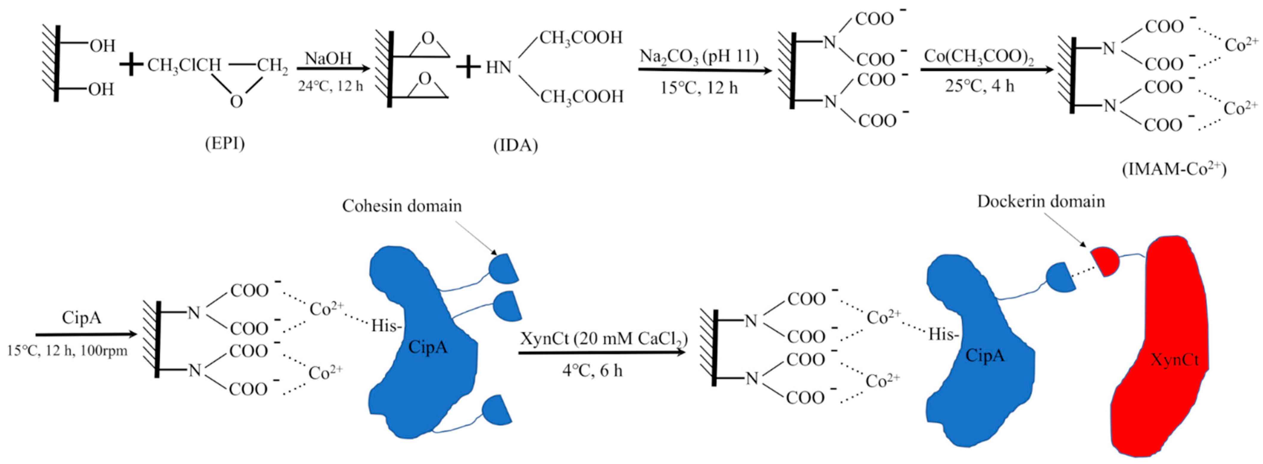 Molecules 27 00907 g002 550