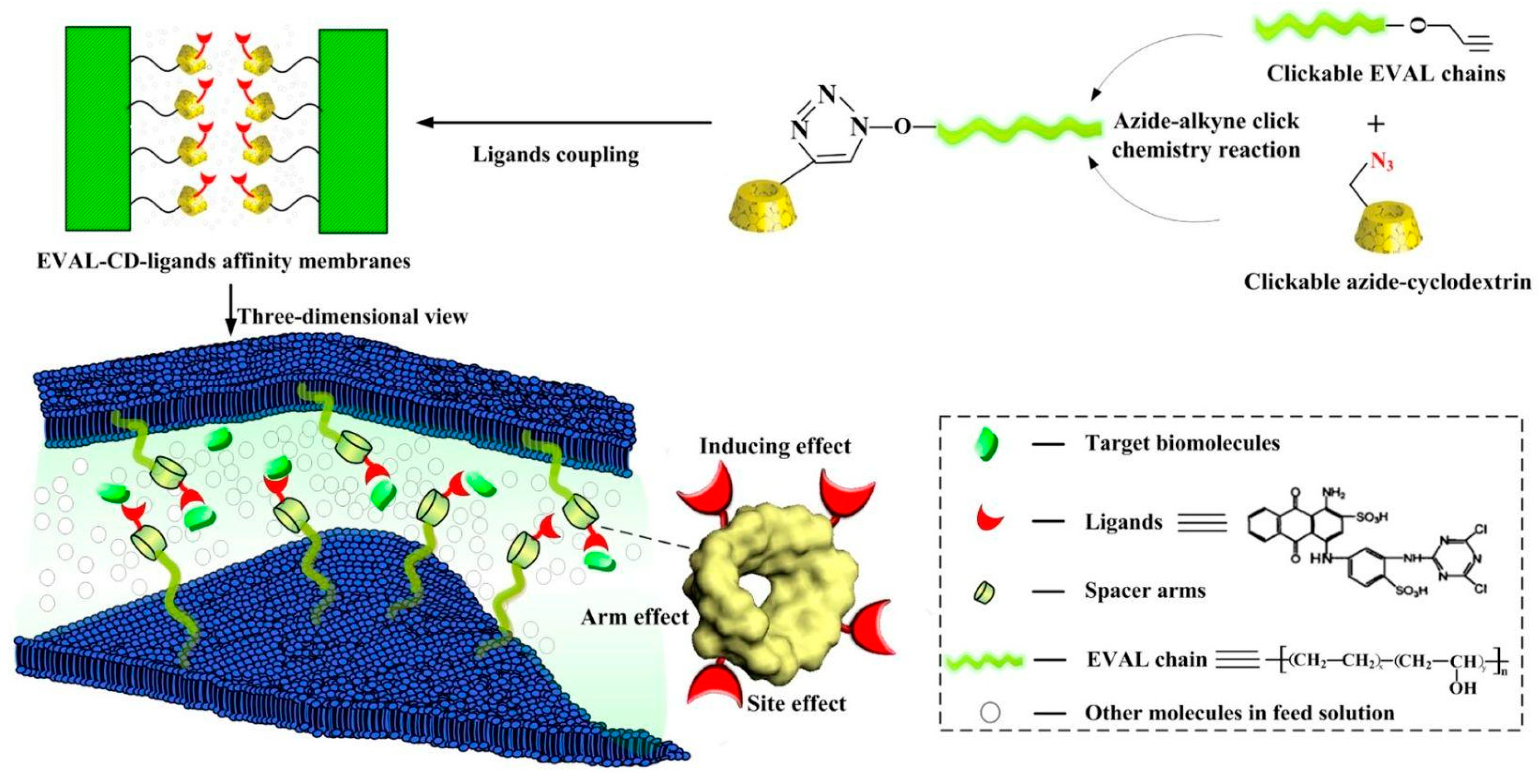 Molecules 27 00907 g003 550