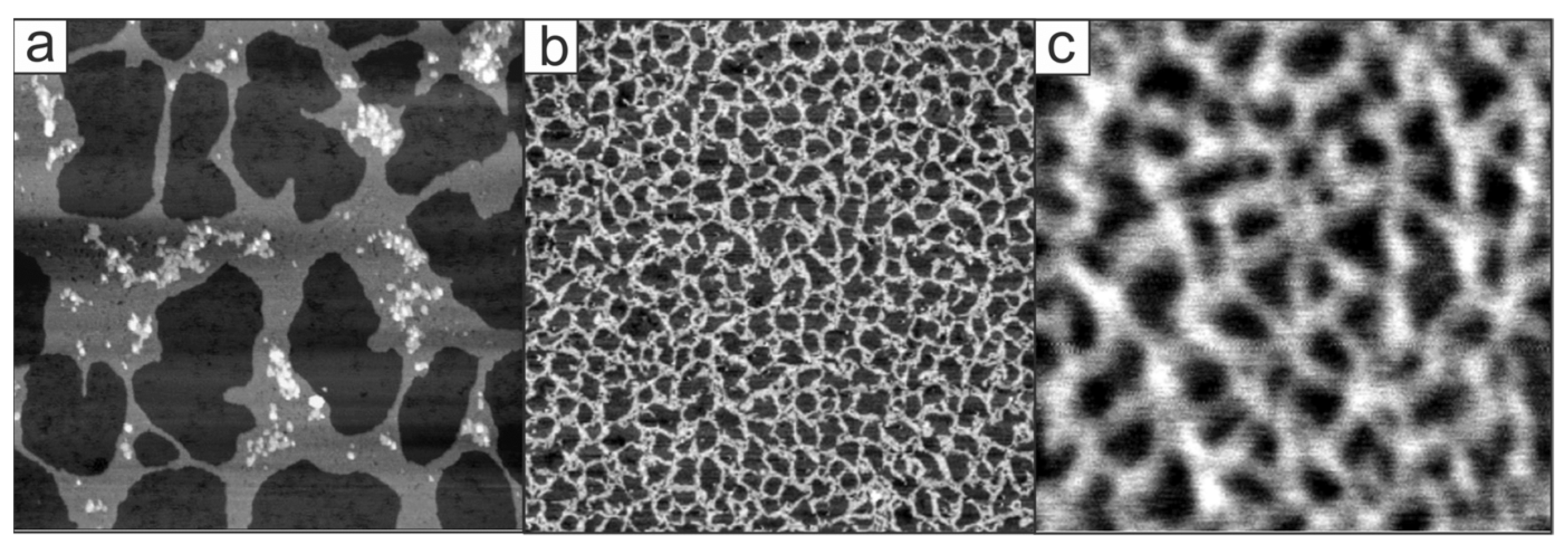 Molecules 27 00915 g005