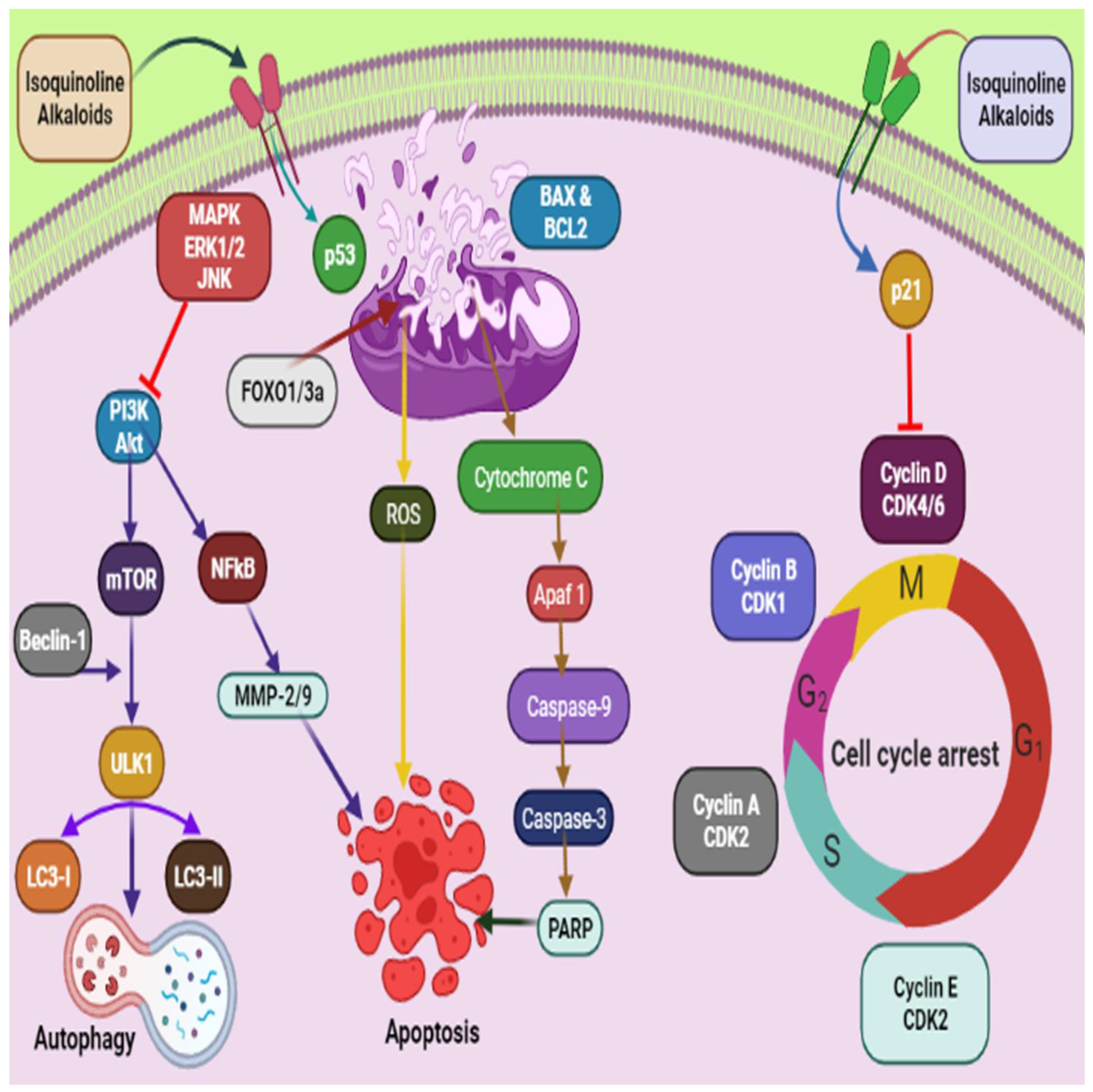 Molecules 27 00920 g002