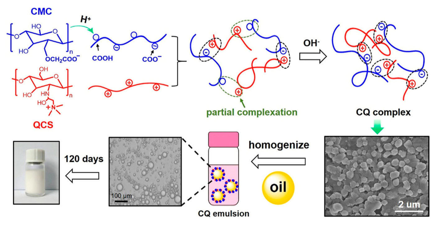 Molecules 27 00921 g006