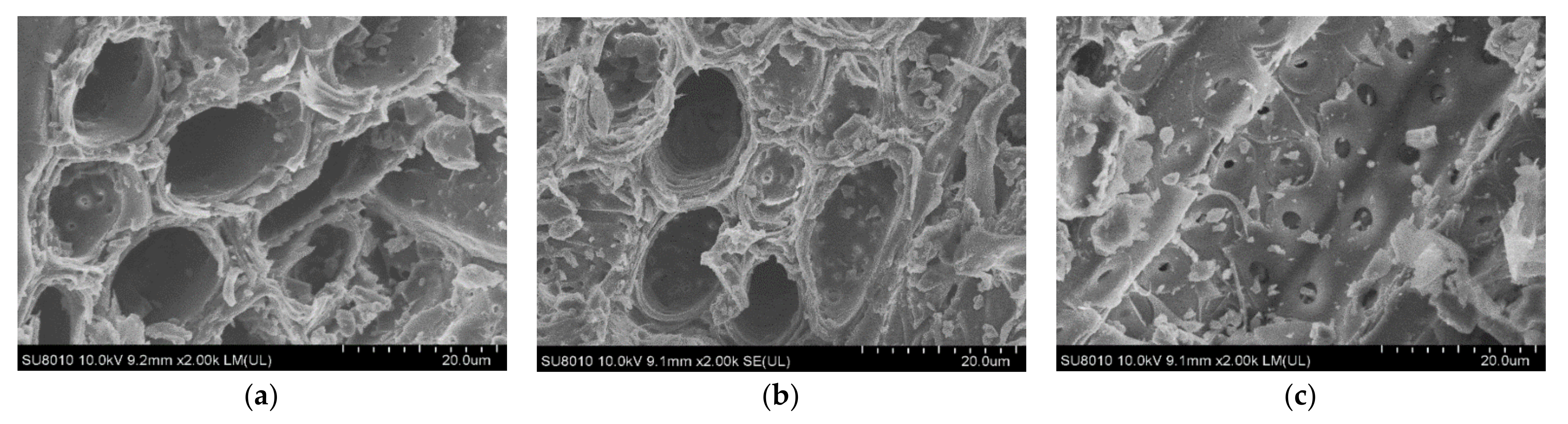 Molecules 27 00923 g005