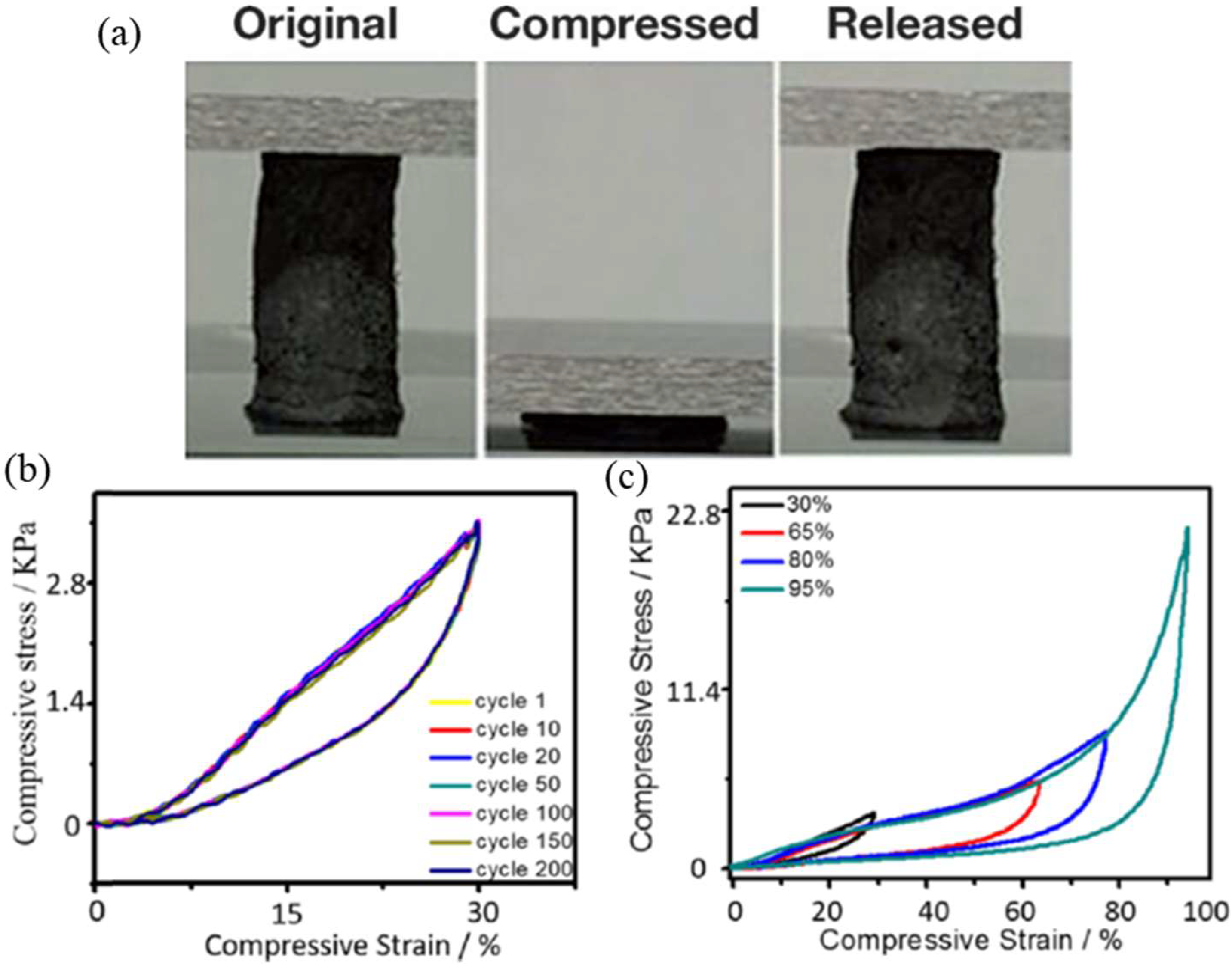 Molecules 27 00924 g012 550