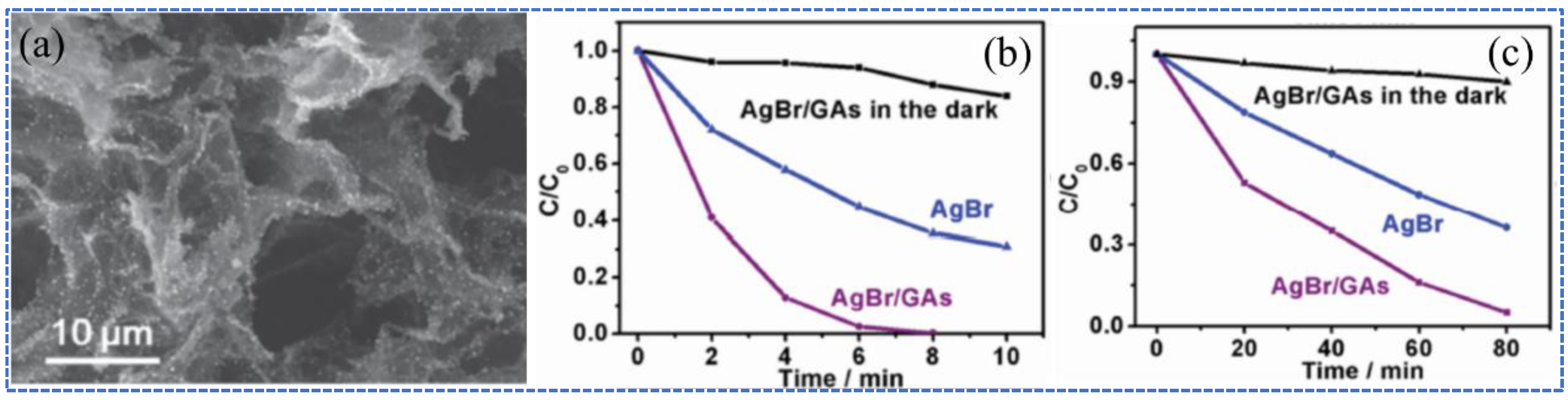 Molecules 27 00924 g015 550