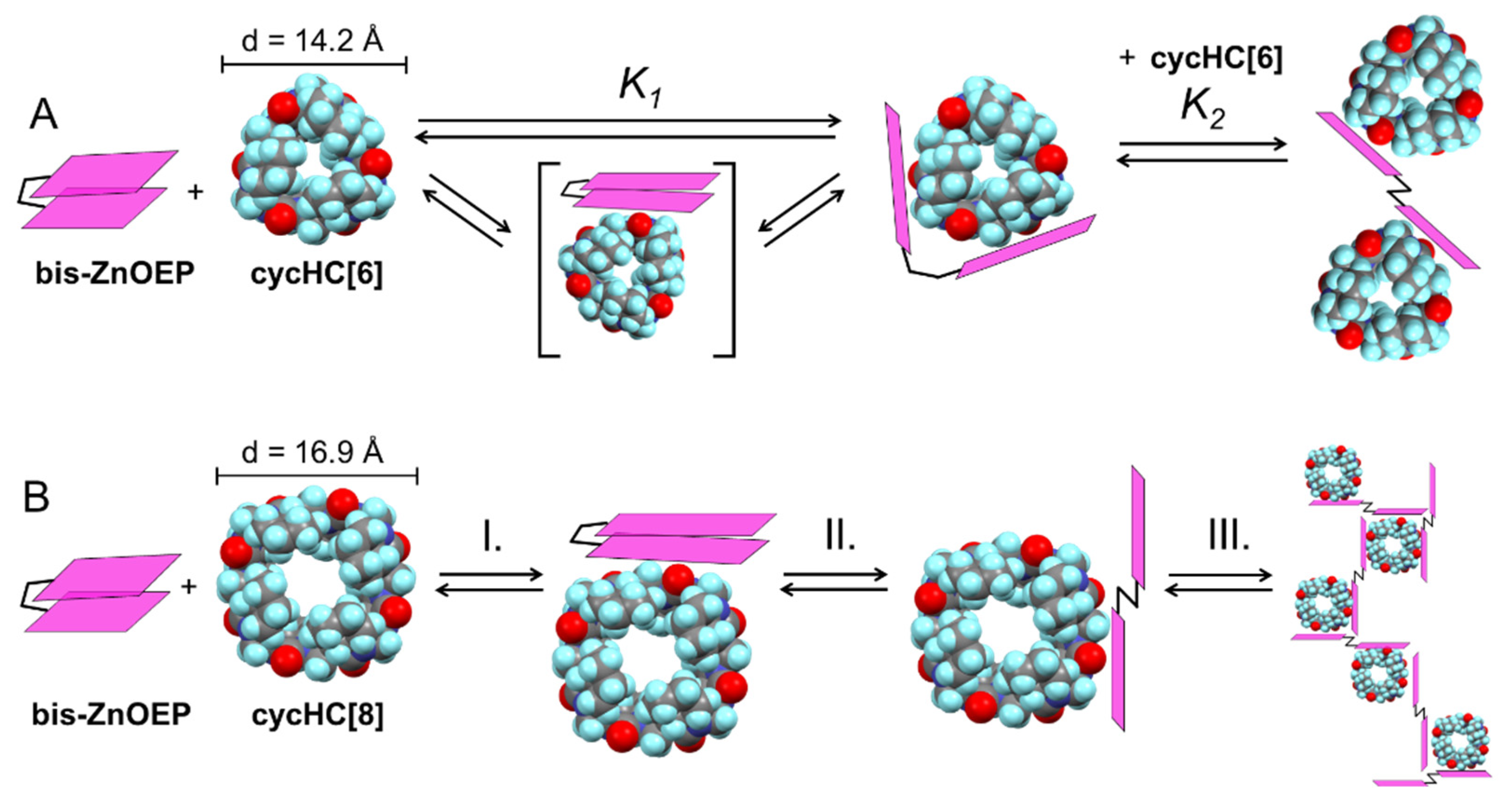 Molecules 27 00937 g008