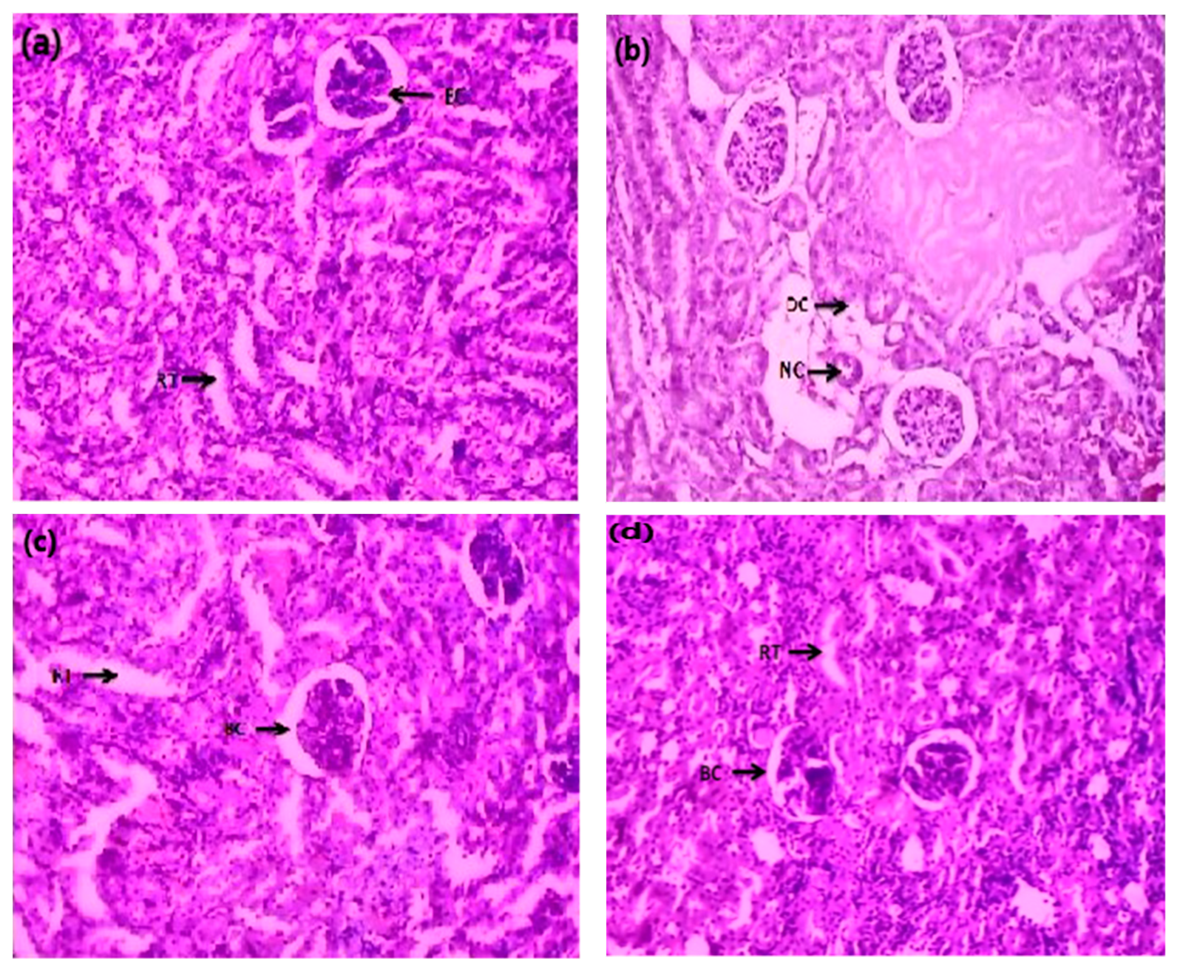 Molecules 27 00941 g002 550
