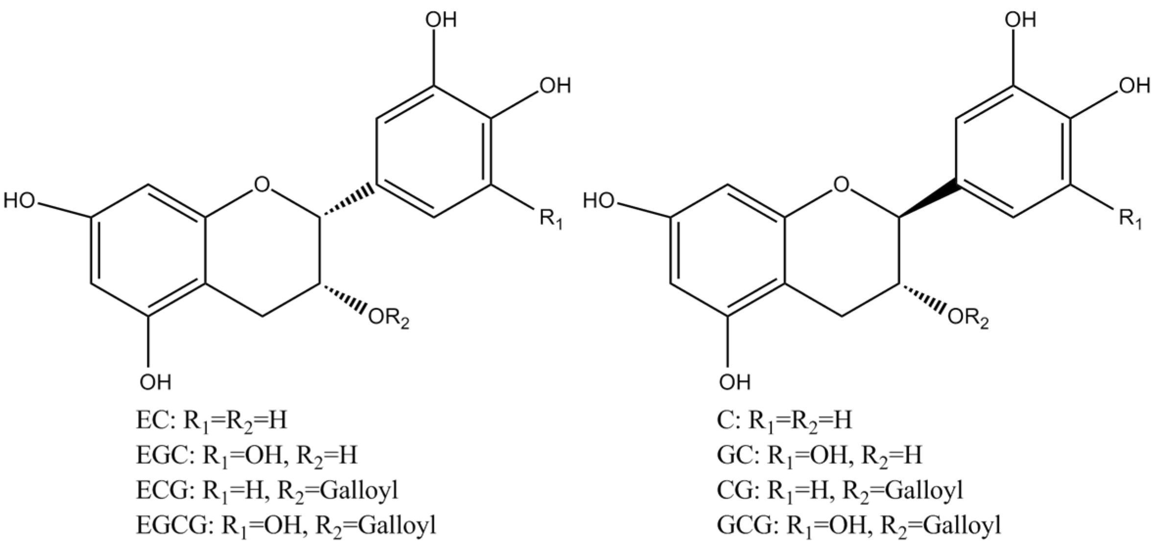 Molecules 27 00942 g001