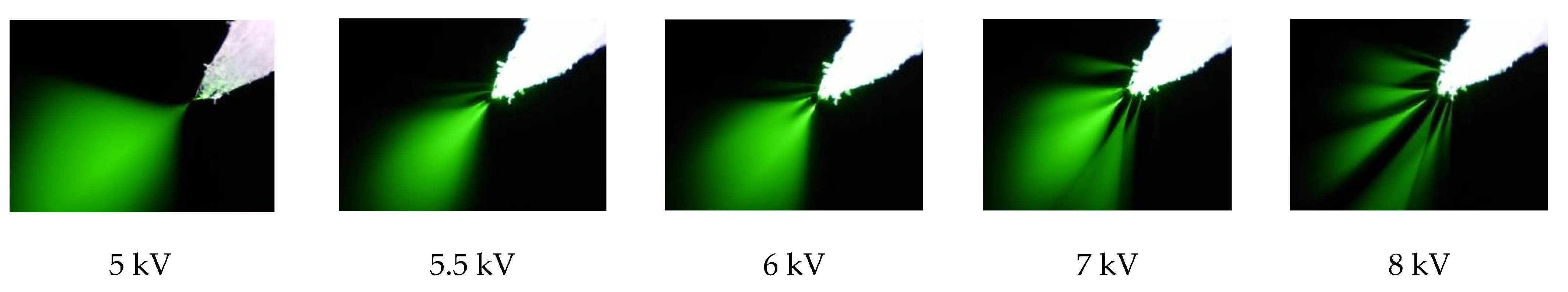 Molecules 27 00945 g004
