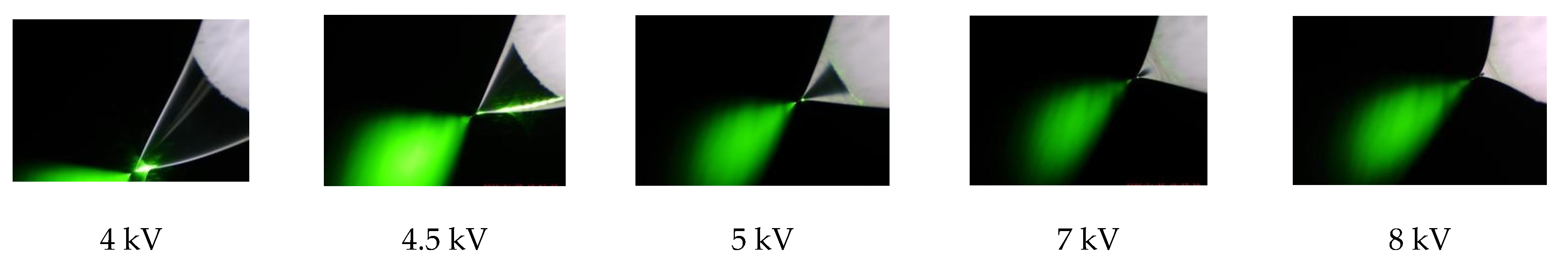 Molecules 27 00945 g005