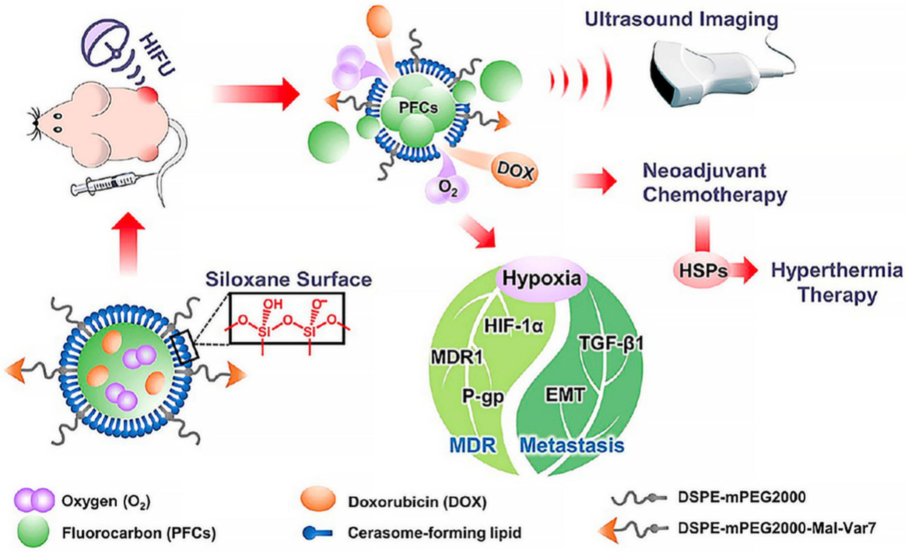 Molecules 27 00948 g003