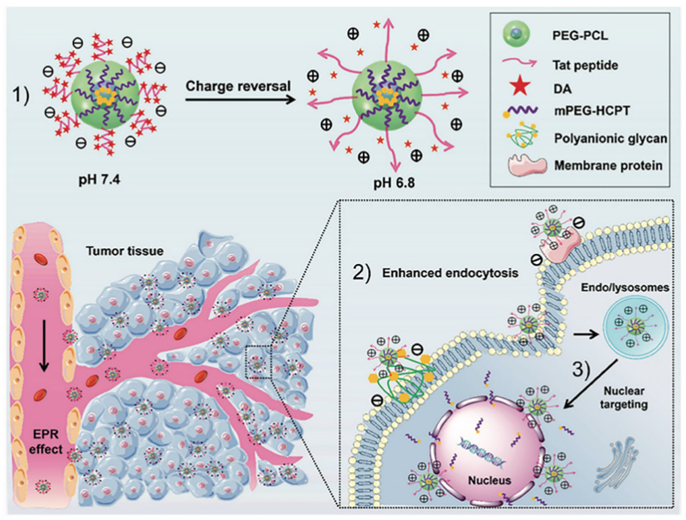 Molecules 27 00948 g004