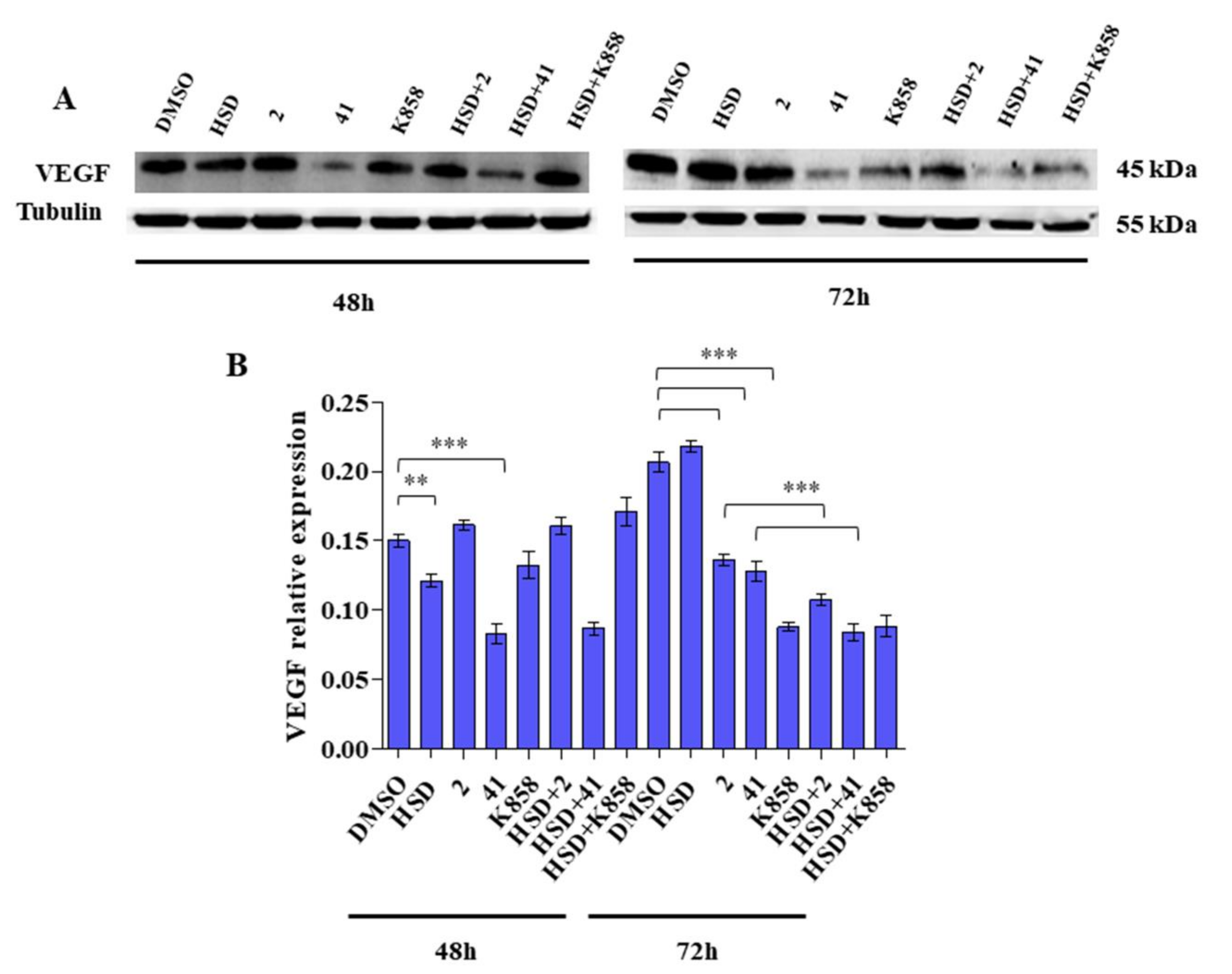 Molecules 27 00957 g007 Molecules 27 00957 g007