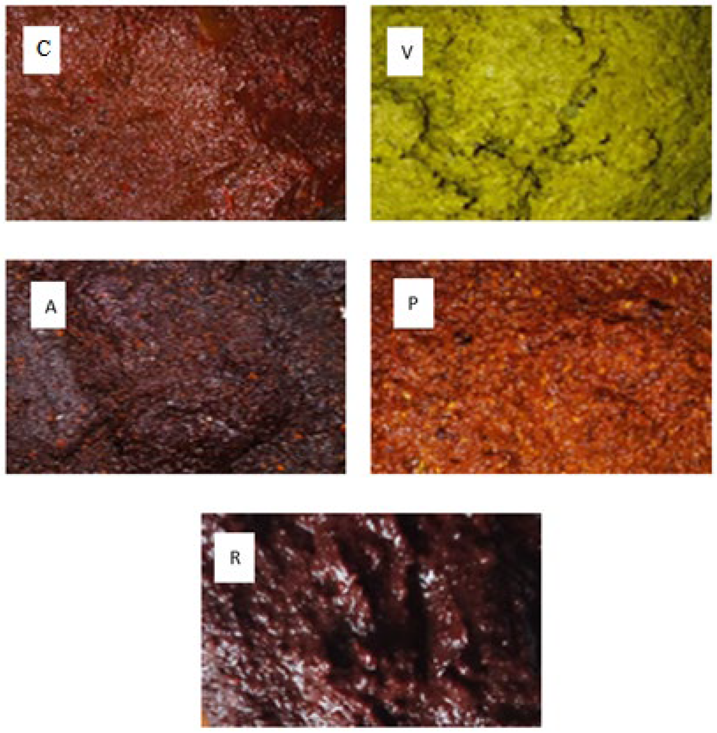 Molecules 27 00966 g001 550