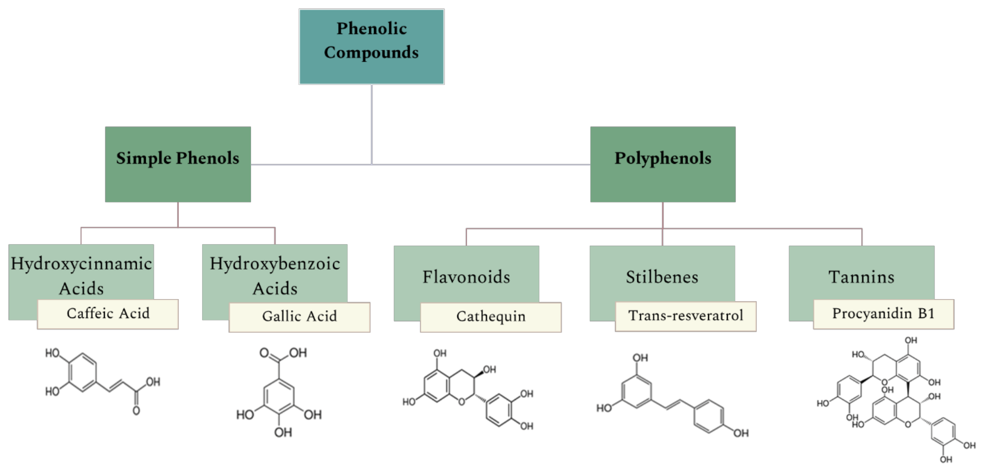 Molecules 27 00969 g001