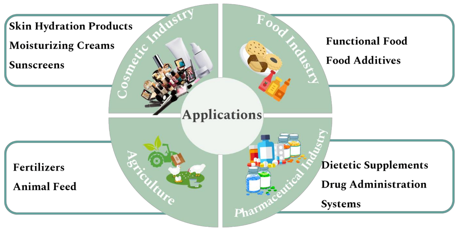 Molecules 27 00969 g002