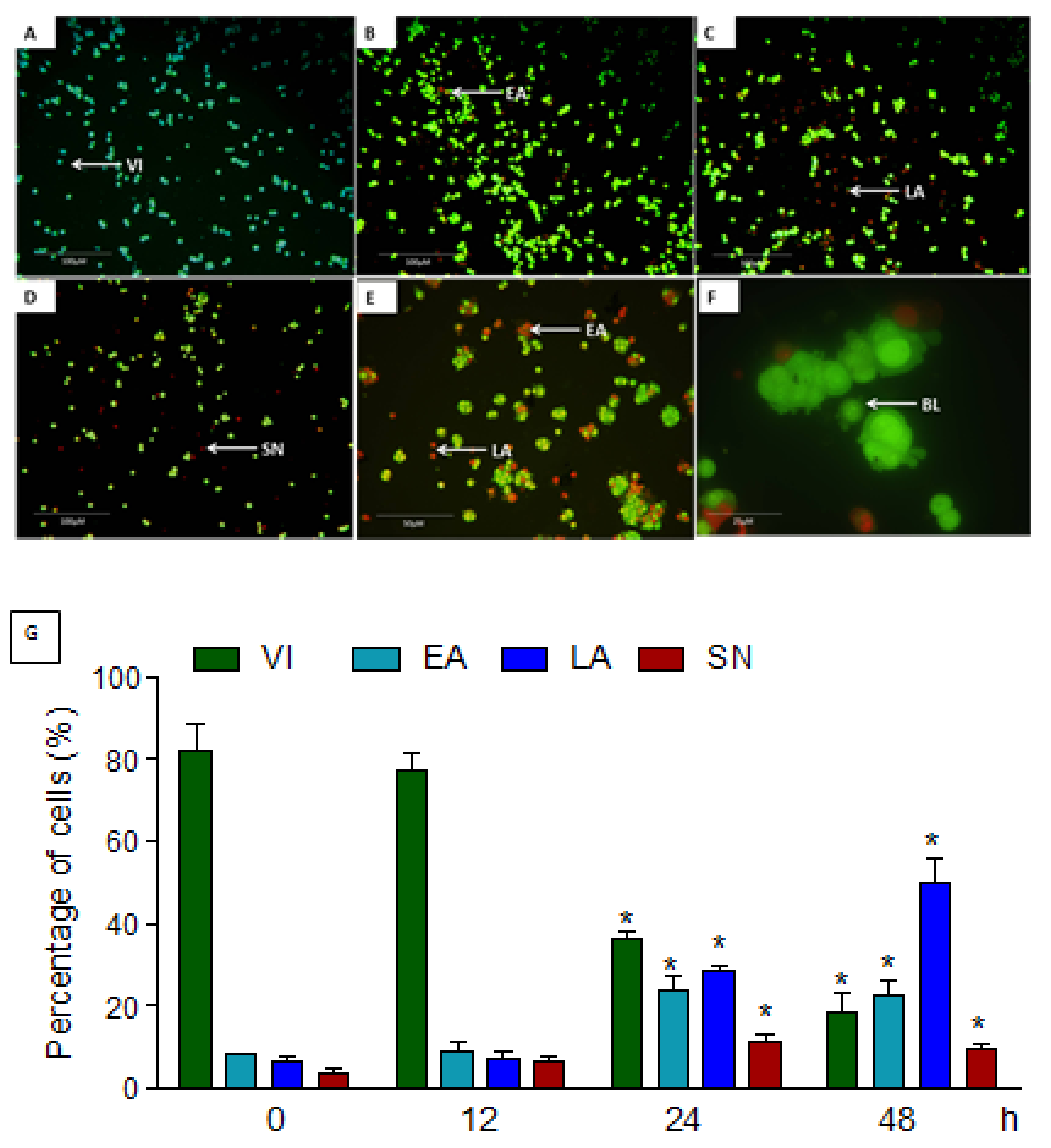 Molecules 27 00971 g003