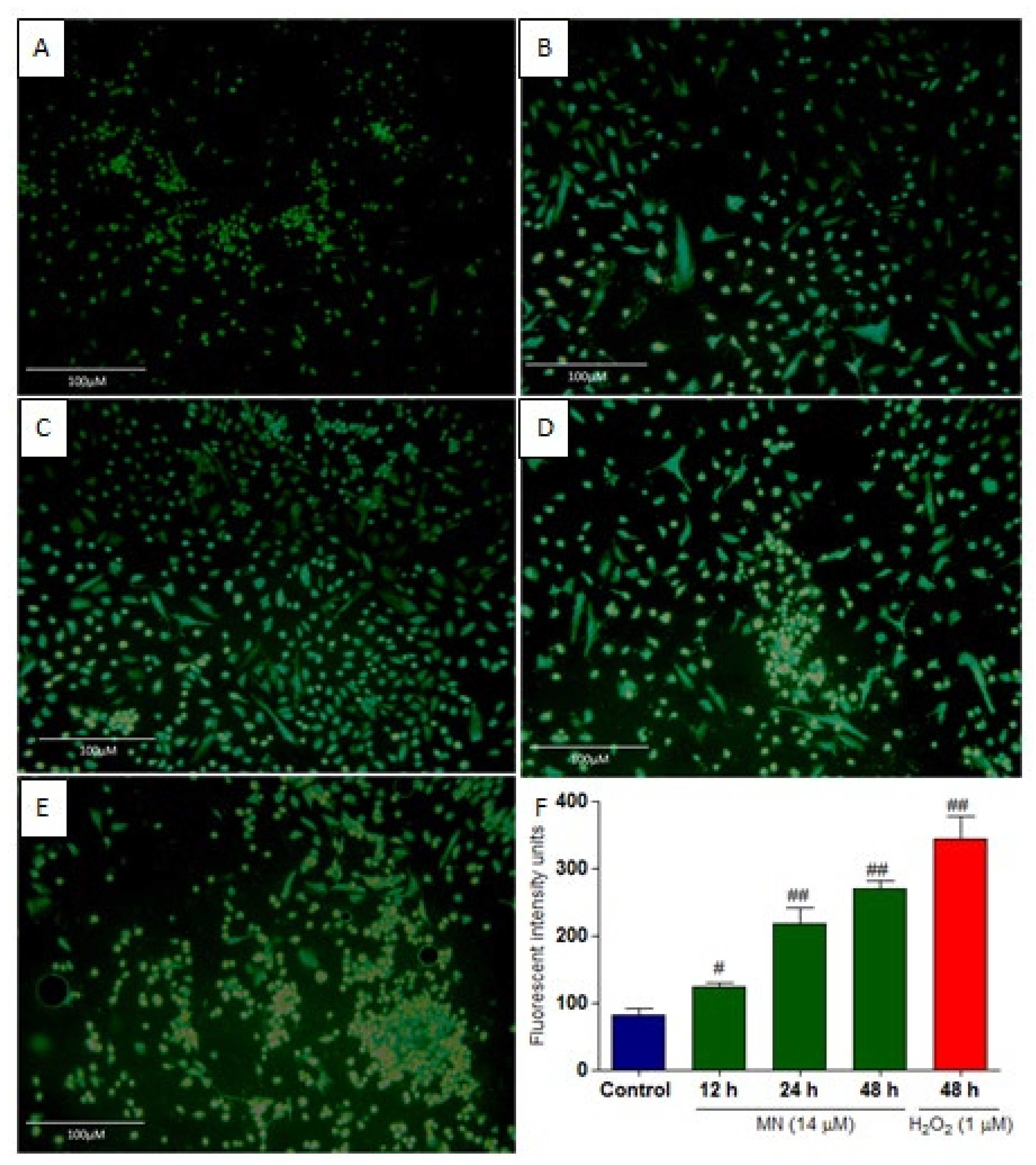 Molecules 27 00971 g004