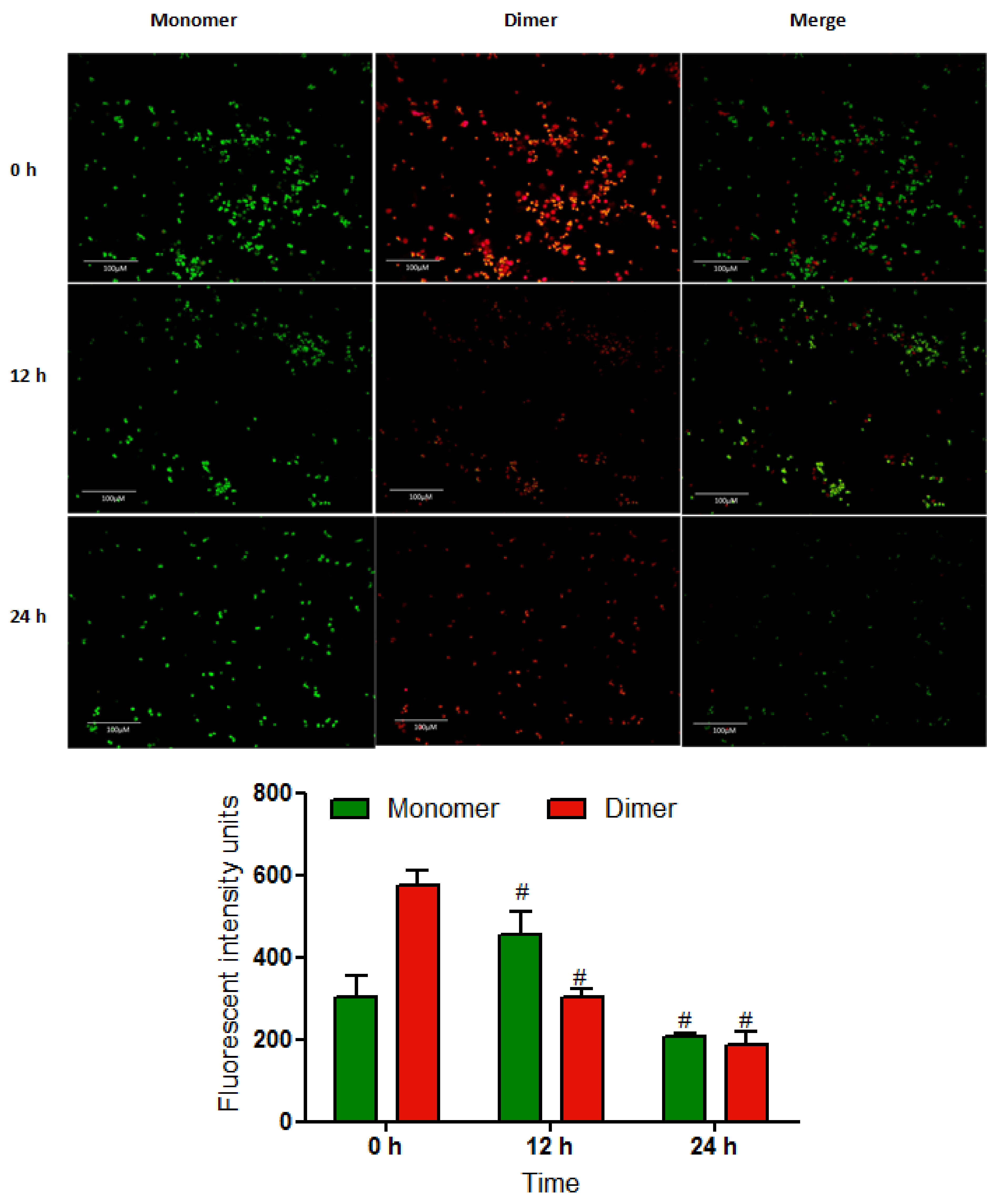 Molecules 27 00971 g005