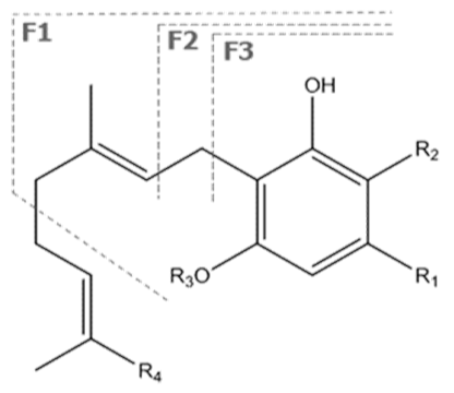 Molecules 27 00975 i014 Molecules 27 00975 i014