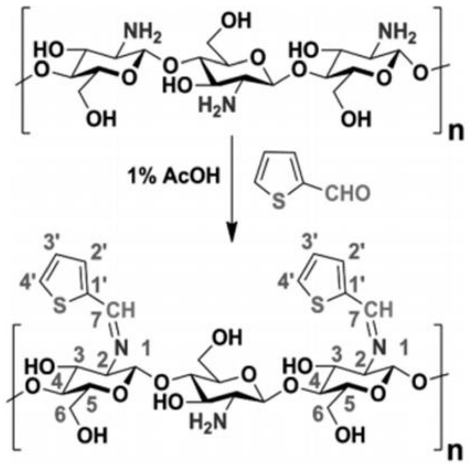Molecules 27 00978 g006