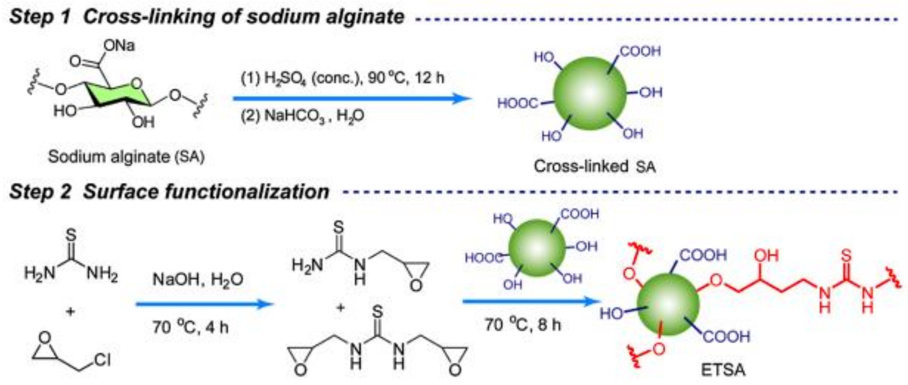 Molecules 27 00978 g007