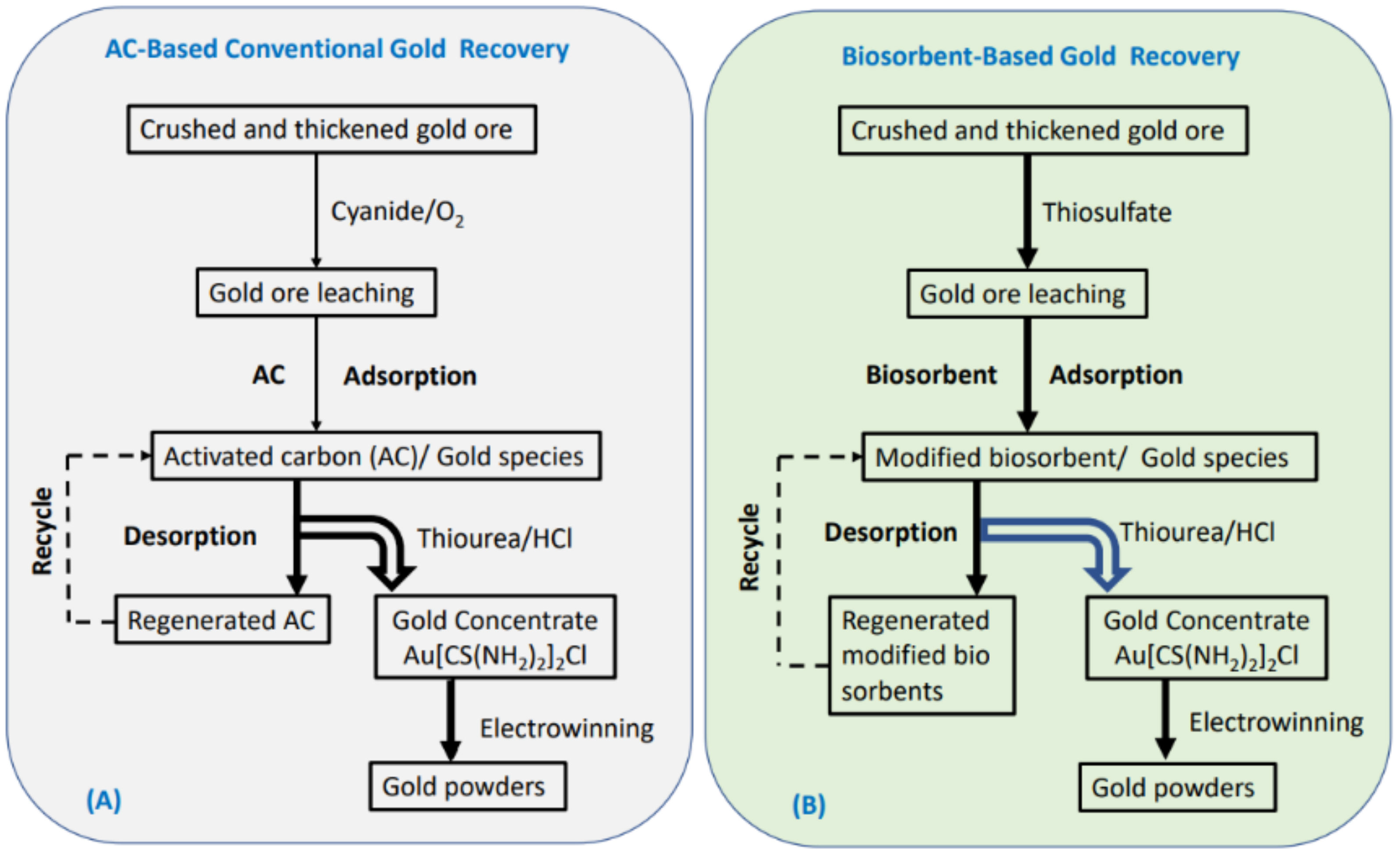Molecules 27 00978 g009