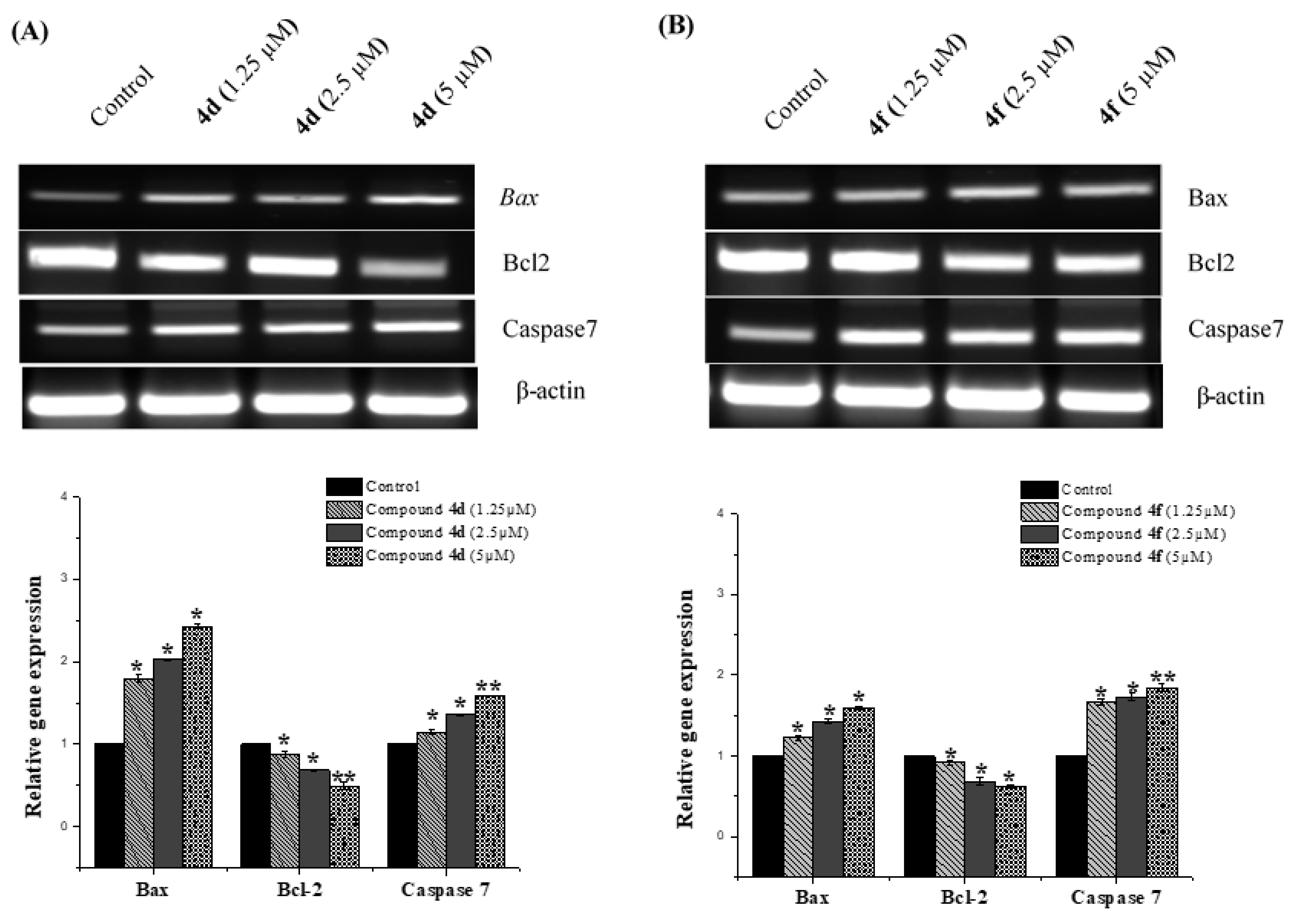 Molecules 27 00981 g006