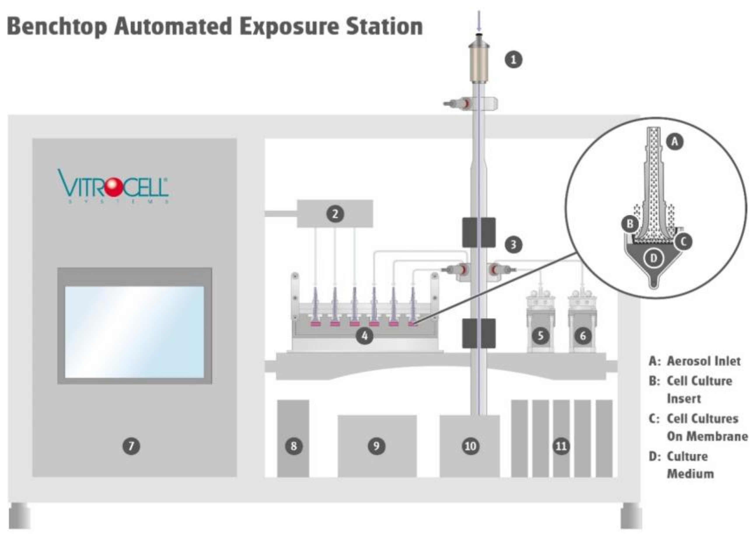 Molecules 27 00985 g006