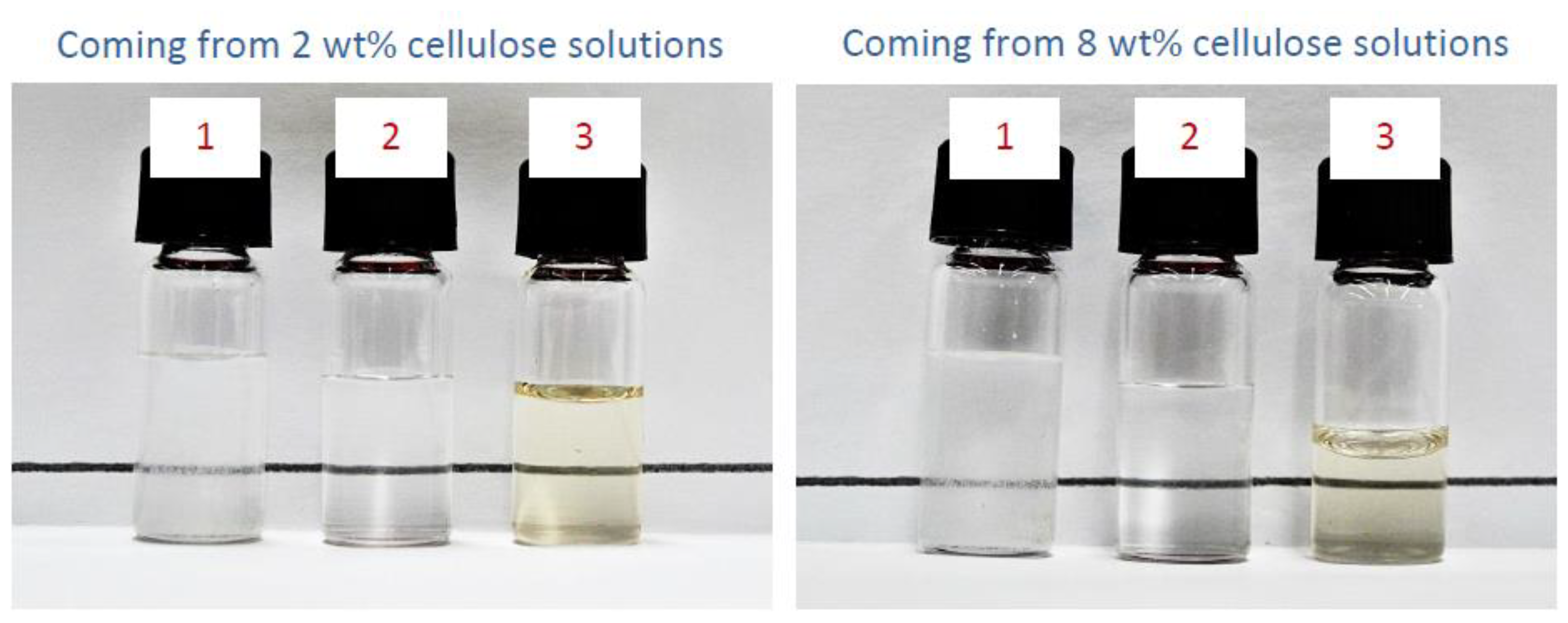 Molecules 27 00987 g001