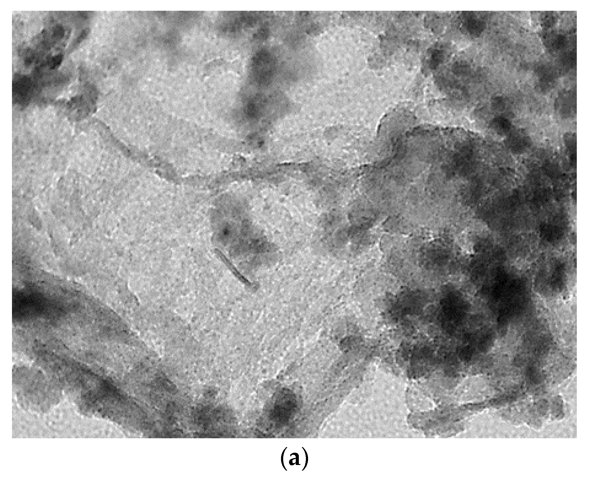 Molecules 27 00988 g004a