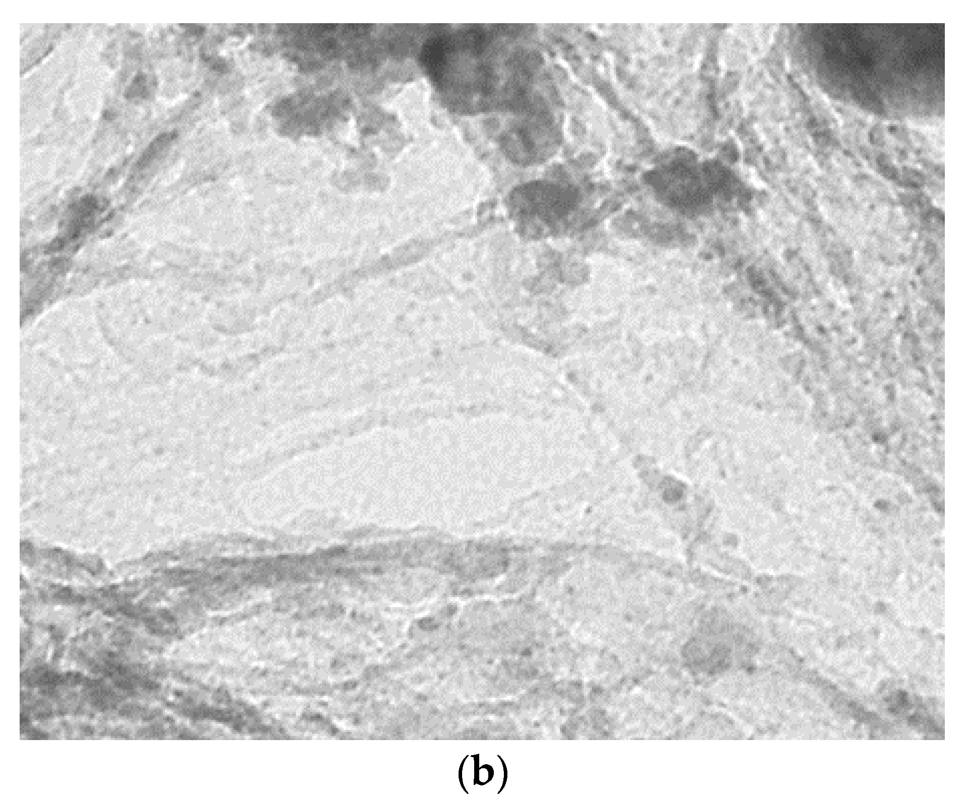 Molecules 27 00988 g004b