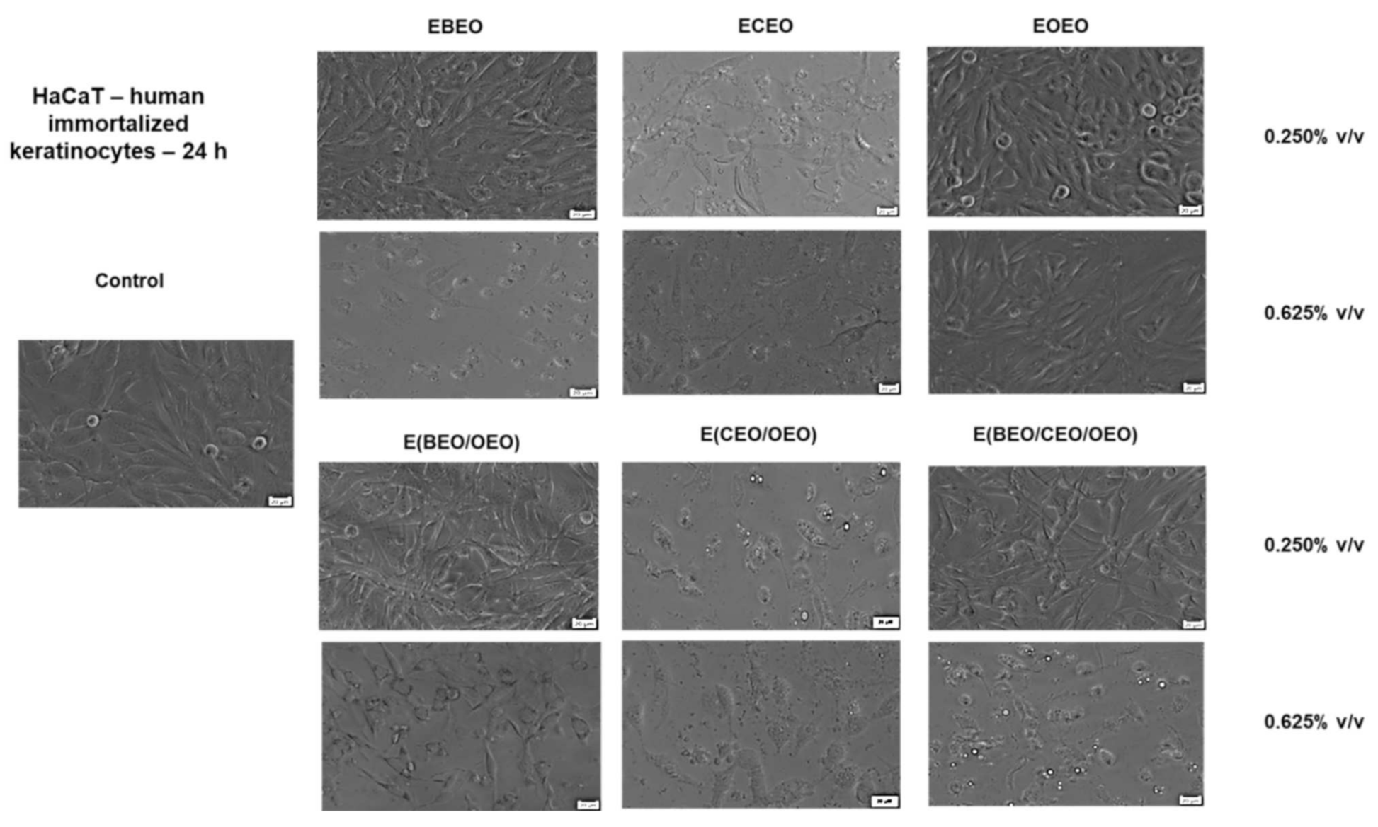 Molecules 27 00990 g002 Molecules 27 00990 g002