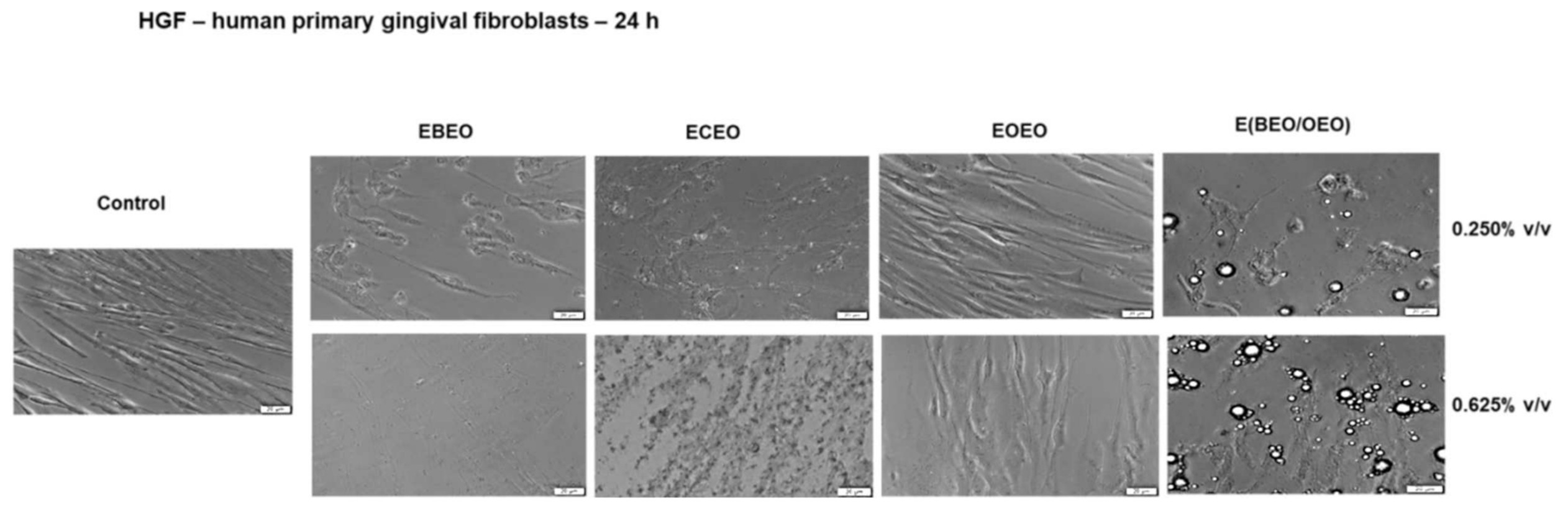 Molecules 27 00990 g004 Molecules 27 00990 g004