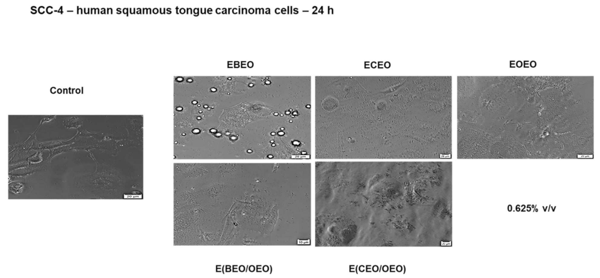 Molecules 27 00990 g008 Molecules 27 00990 g008