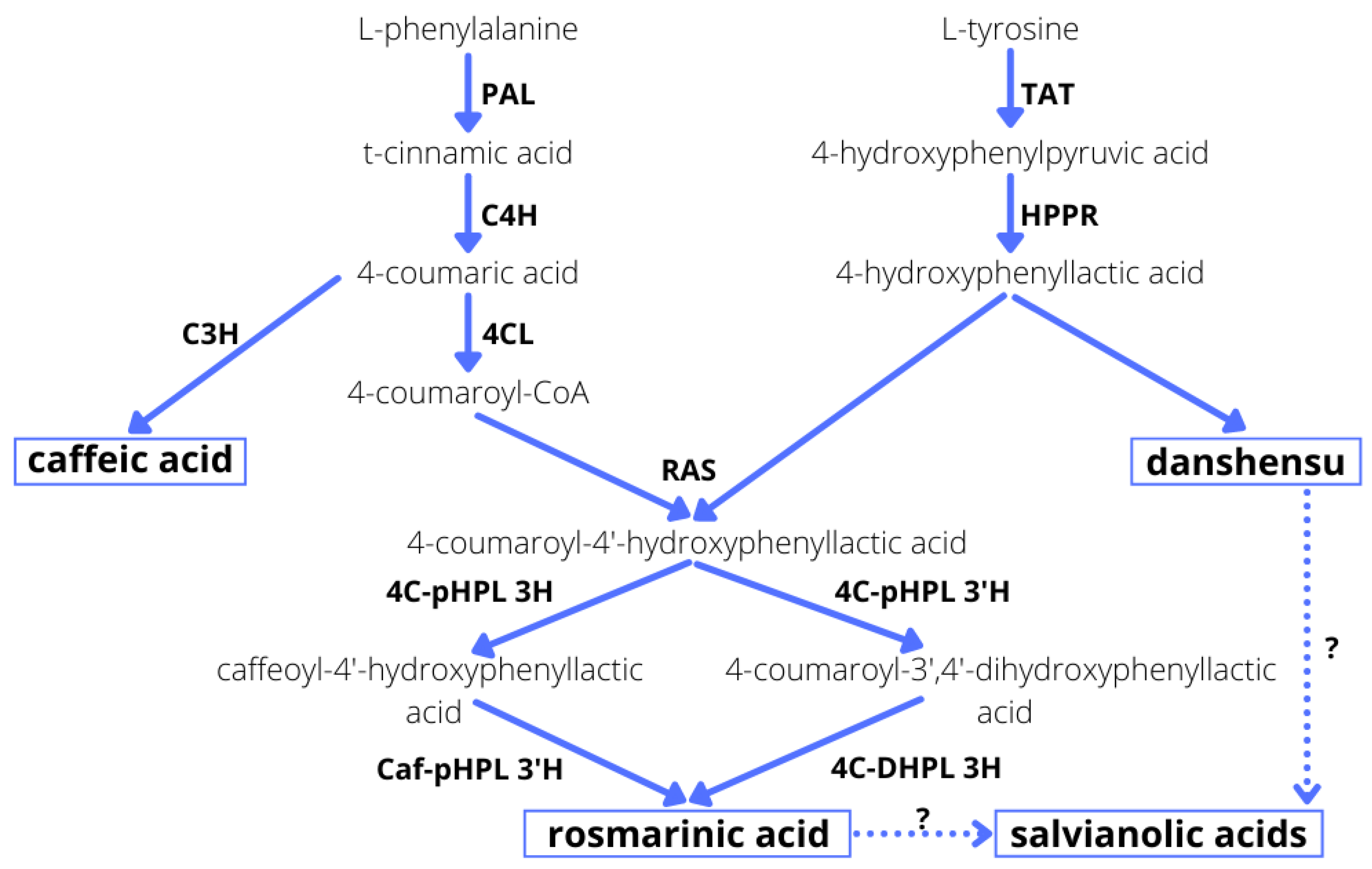 Molecules 27 00992 g003 550