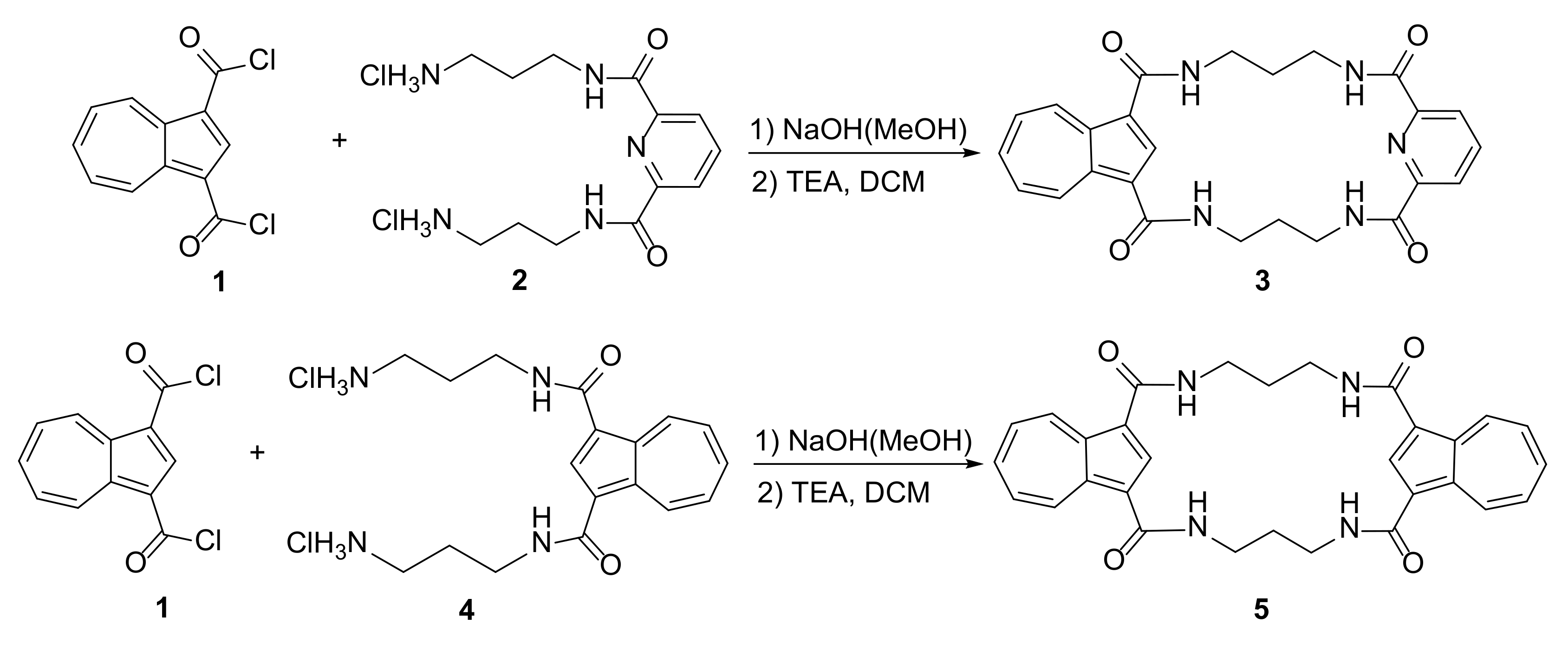 Molecules 27 01004 g002