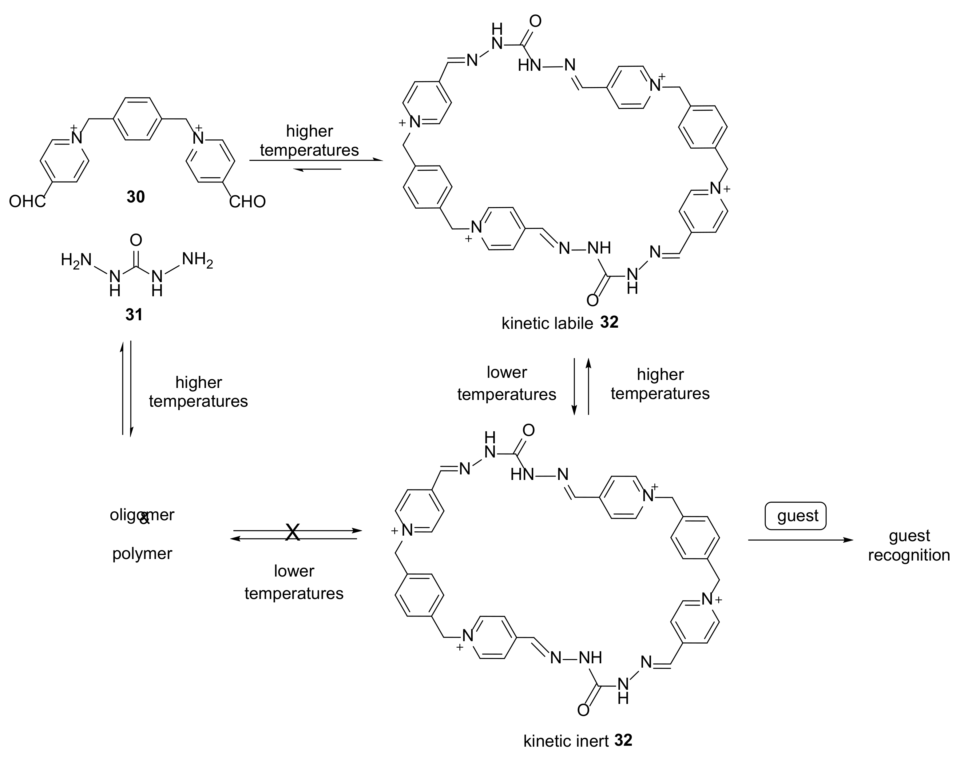 Molecules 27 01004 g005